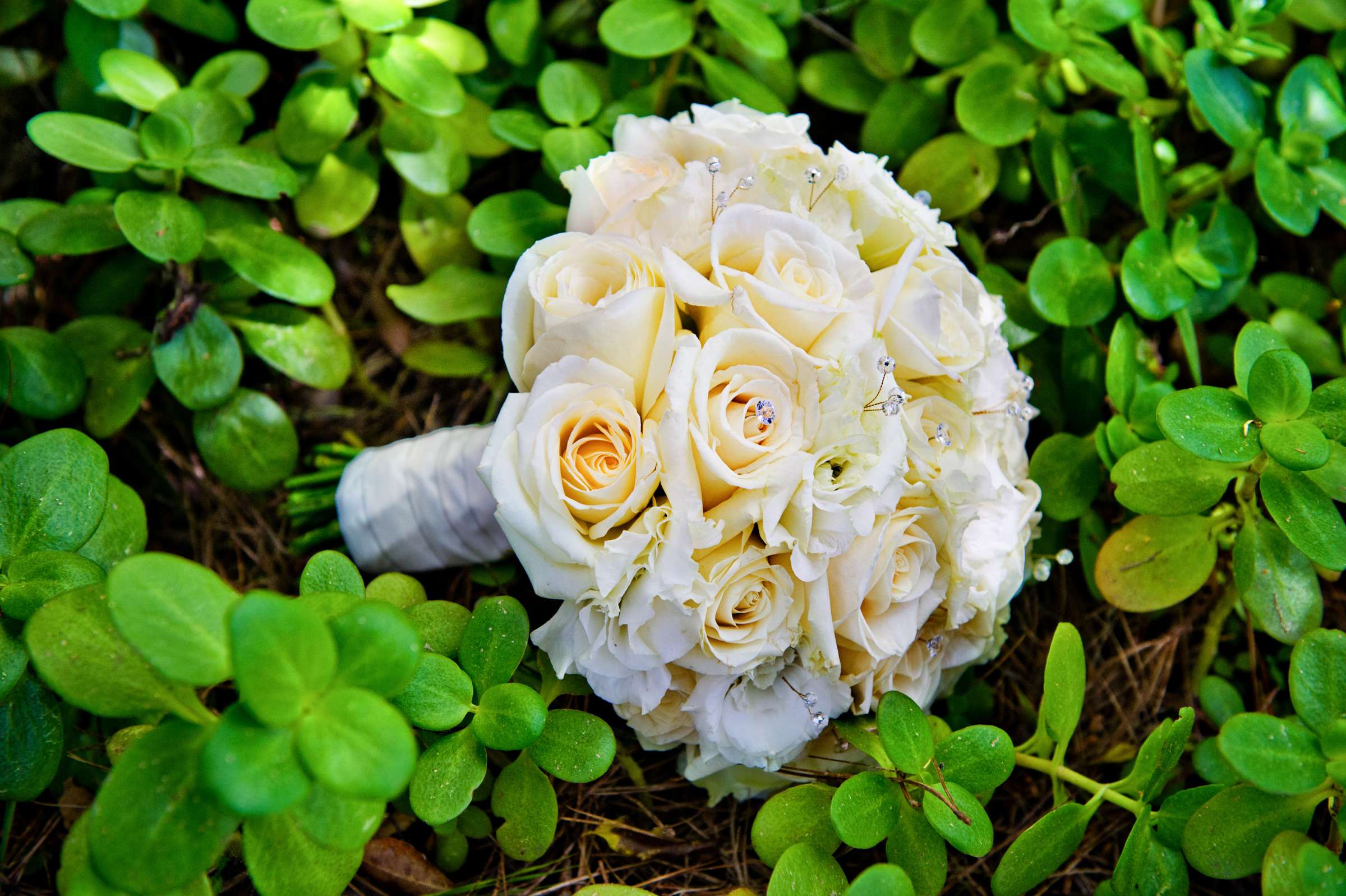 Hyatt Carmel Highlands Inn Wedding, Catherine and Jack Wedding Photo #359877 by True Photography