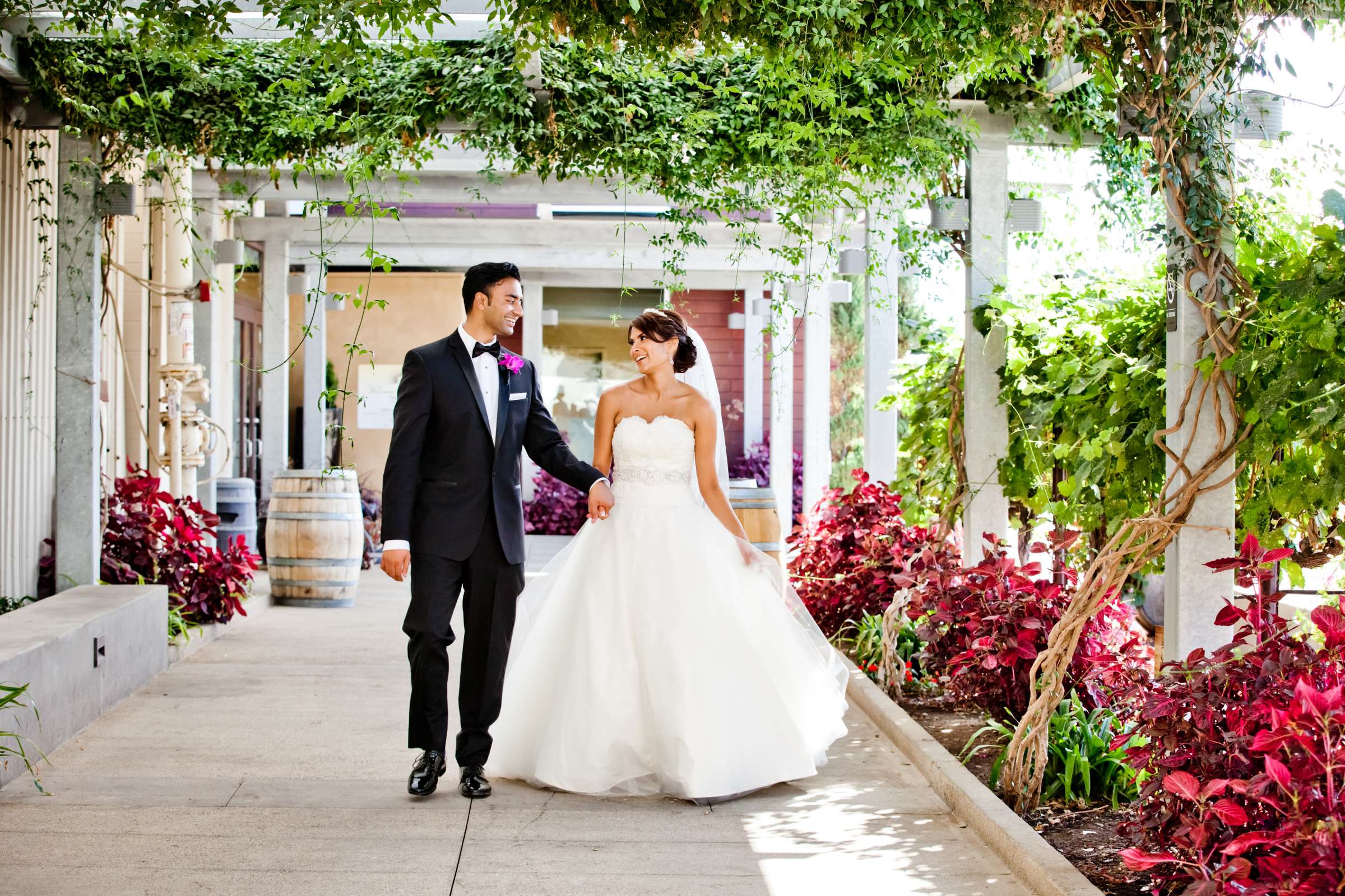 Callaway Vineyards & Winery Wedding coordinated by Michelle Garibay Events, Naomi and Partho Wedding Photo #367764 by True Photography