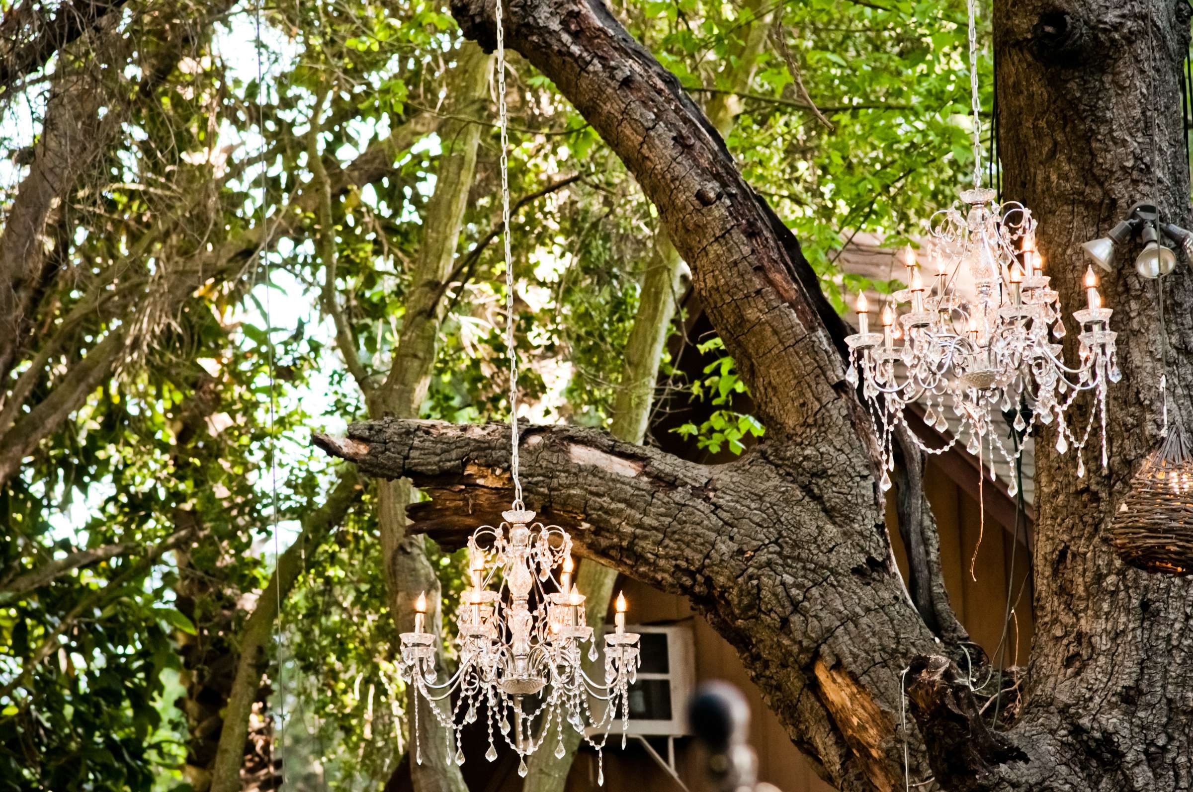 Calamigos Ranch Wedding coordinated by Mindy Roderick, Danielle and Matt Wedding Photo #368384 by True Photography