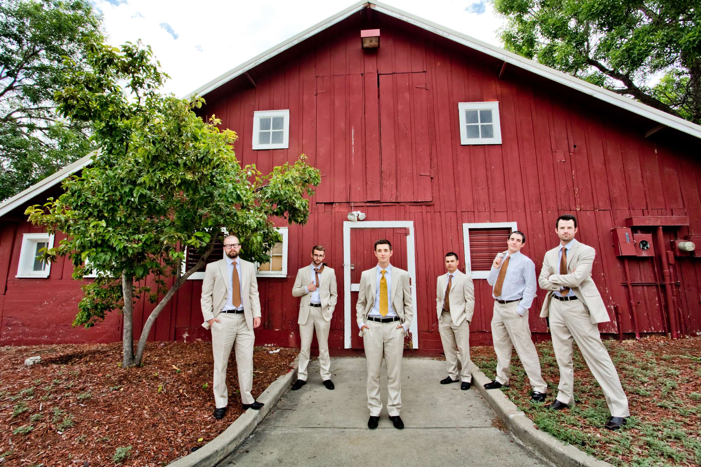 The Barn at Raccoon Creek Wedding, Nicole and Taylor Wedding Photo #372782 by True Photography