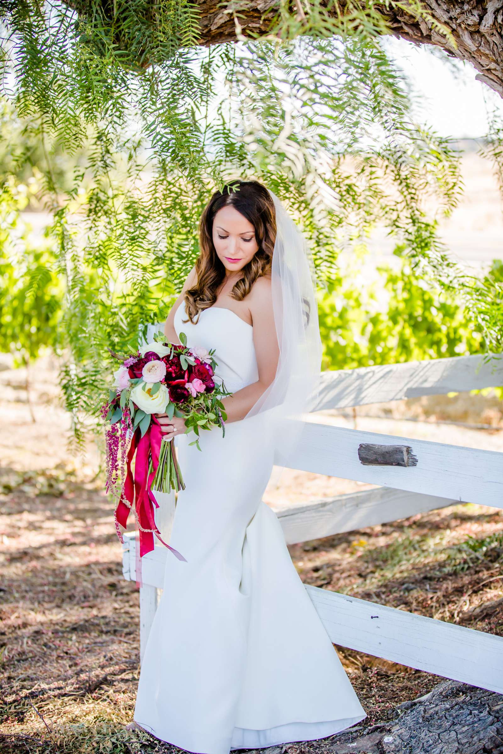 Wedding coordinated by Anns Plans, Shannon and Gonzalo Wedding Photo #30 by True Photography