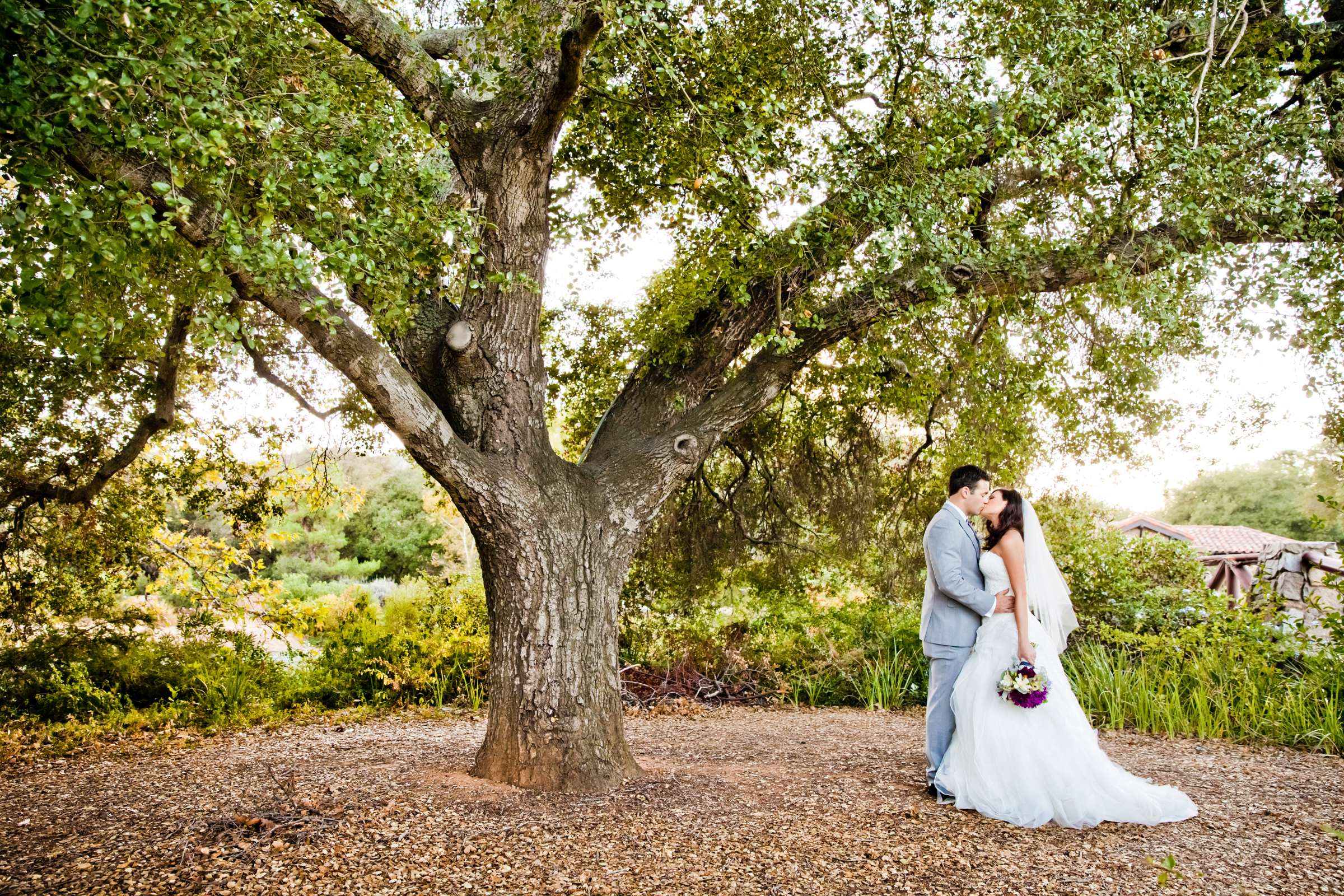 Mt Woodson Castle Wedding, Anita and Adam Wedding Photo #375916 by True Photography