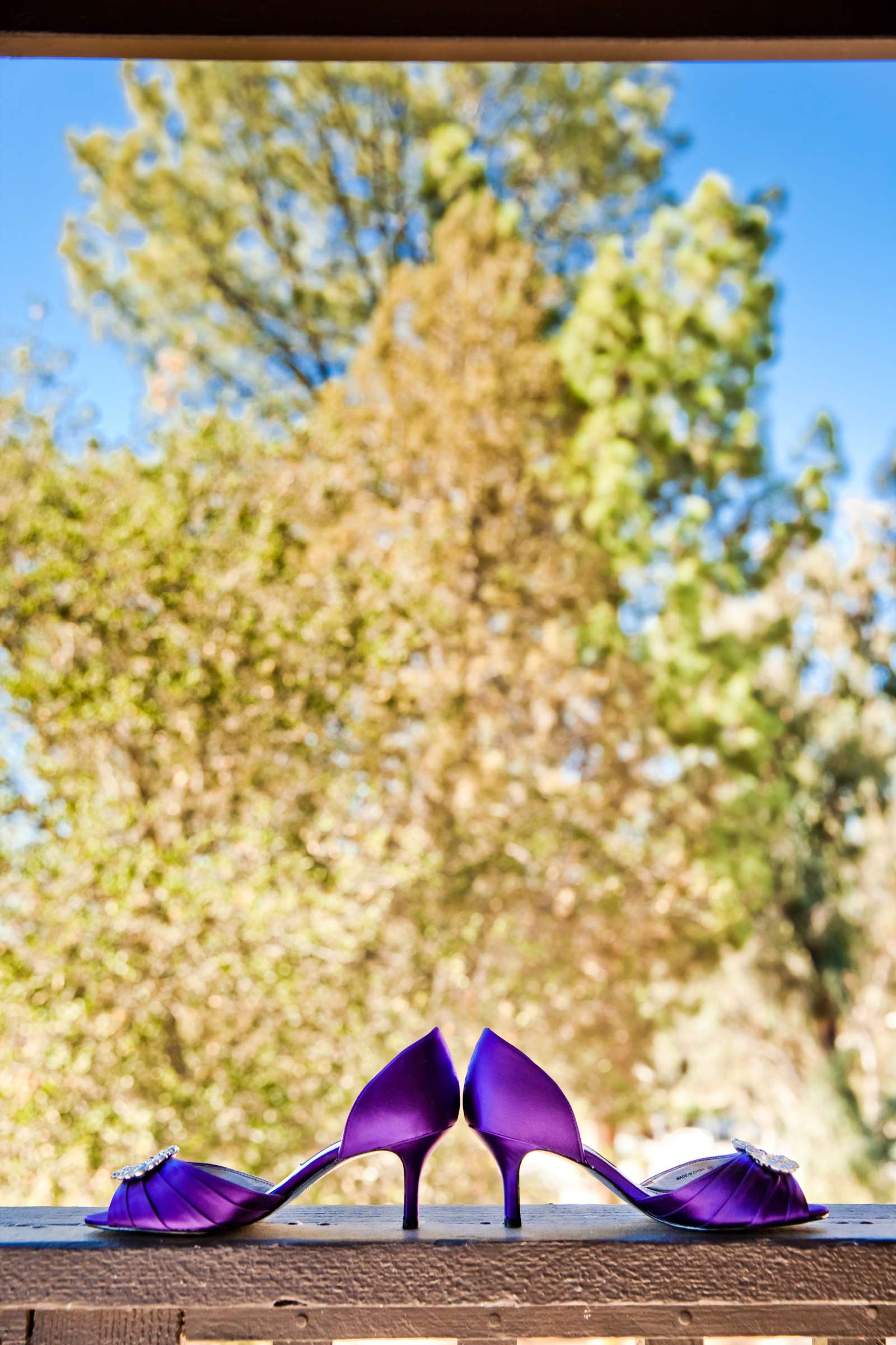 Mt Woodson Castle Wedding, Anita and Adam Wedding Photo #375935 by True Photography