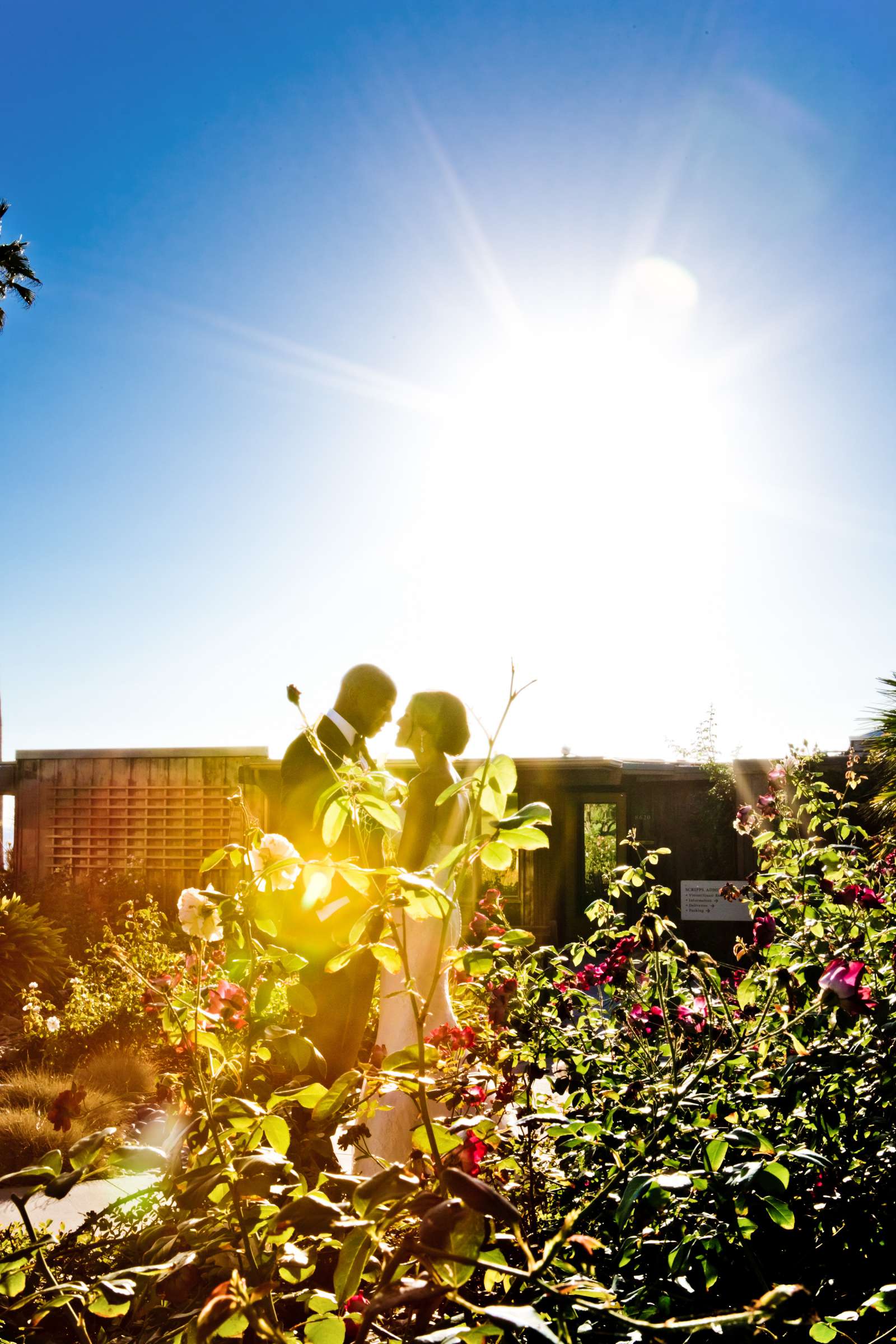 Estancia Wedding coordinated by Sweet Blossom Weddings, Nicole and Neto Wedding Photo #375985 by True Photography