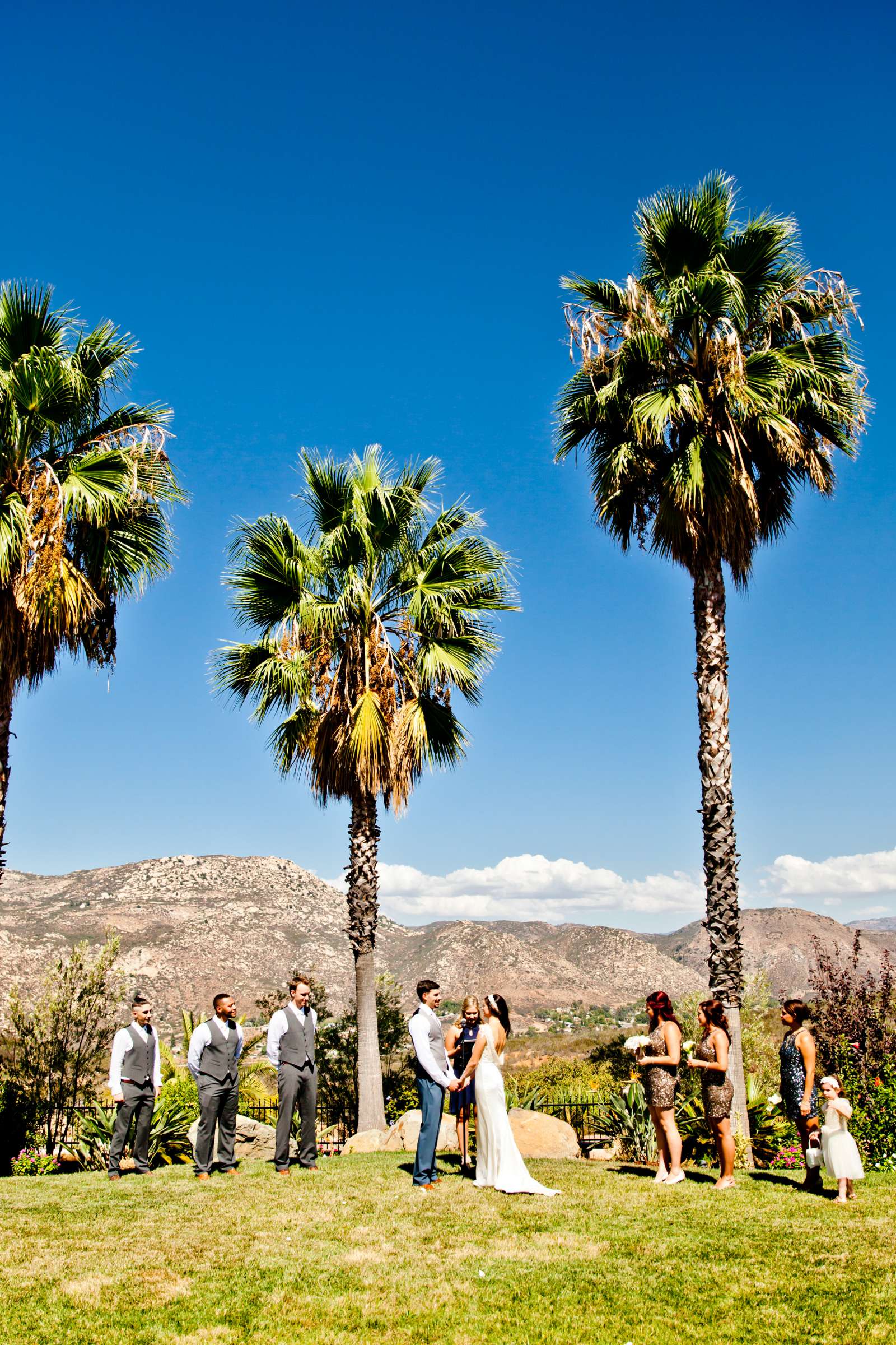 Wedding, Ashlee and Steven Wedding Photo #376314 by True Photography