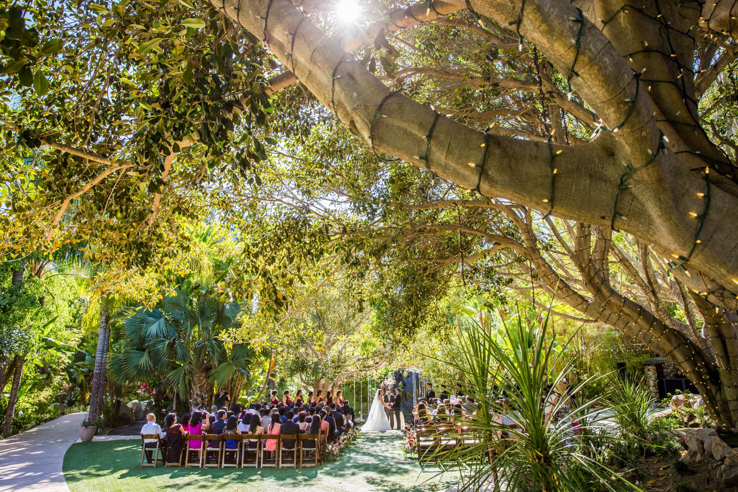 Botanica the Venue Wedding, Kristen and Ian Wedding Photo #376416 by True Photography