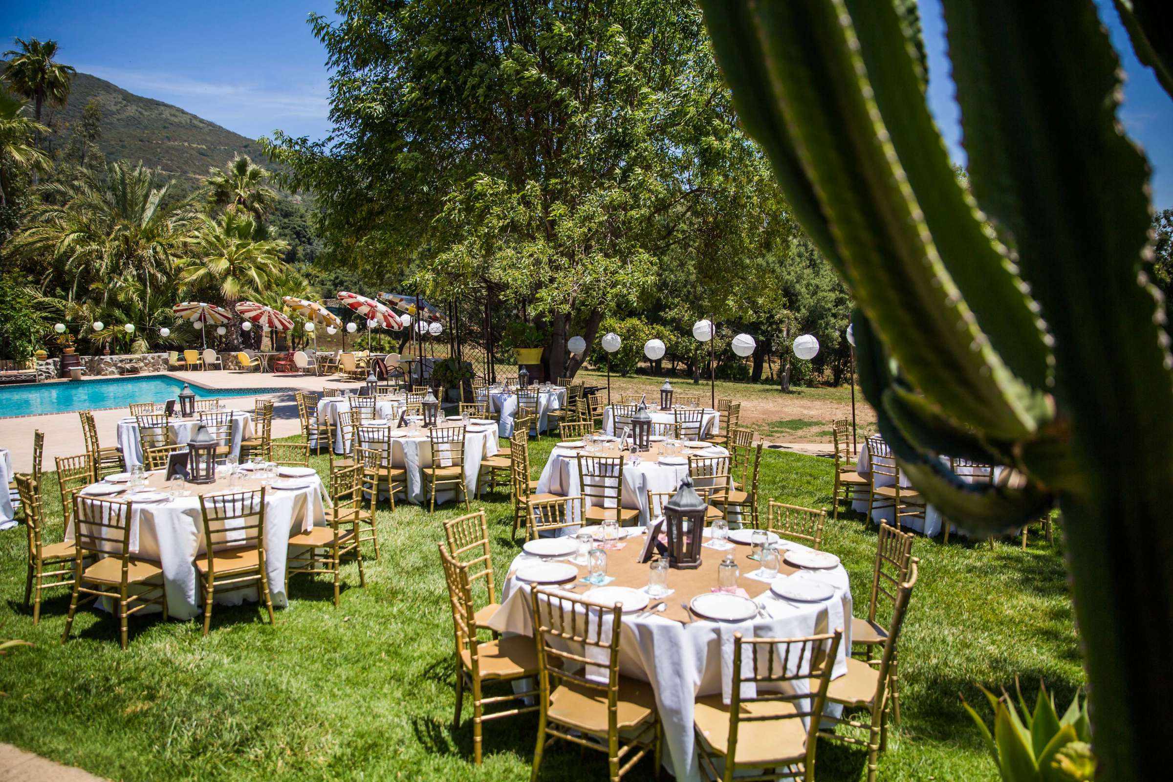 Condors Nest Ranch Wedding, Jessica and Juan Carlos Wedding Photo #123 by True Photography