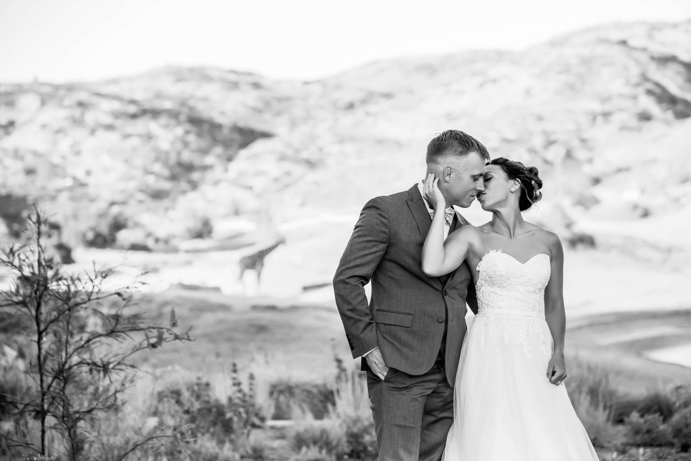 Safari Park Wedding, Danielle and Brendan Wedding Photo #86 by True Photography