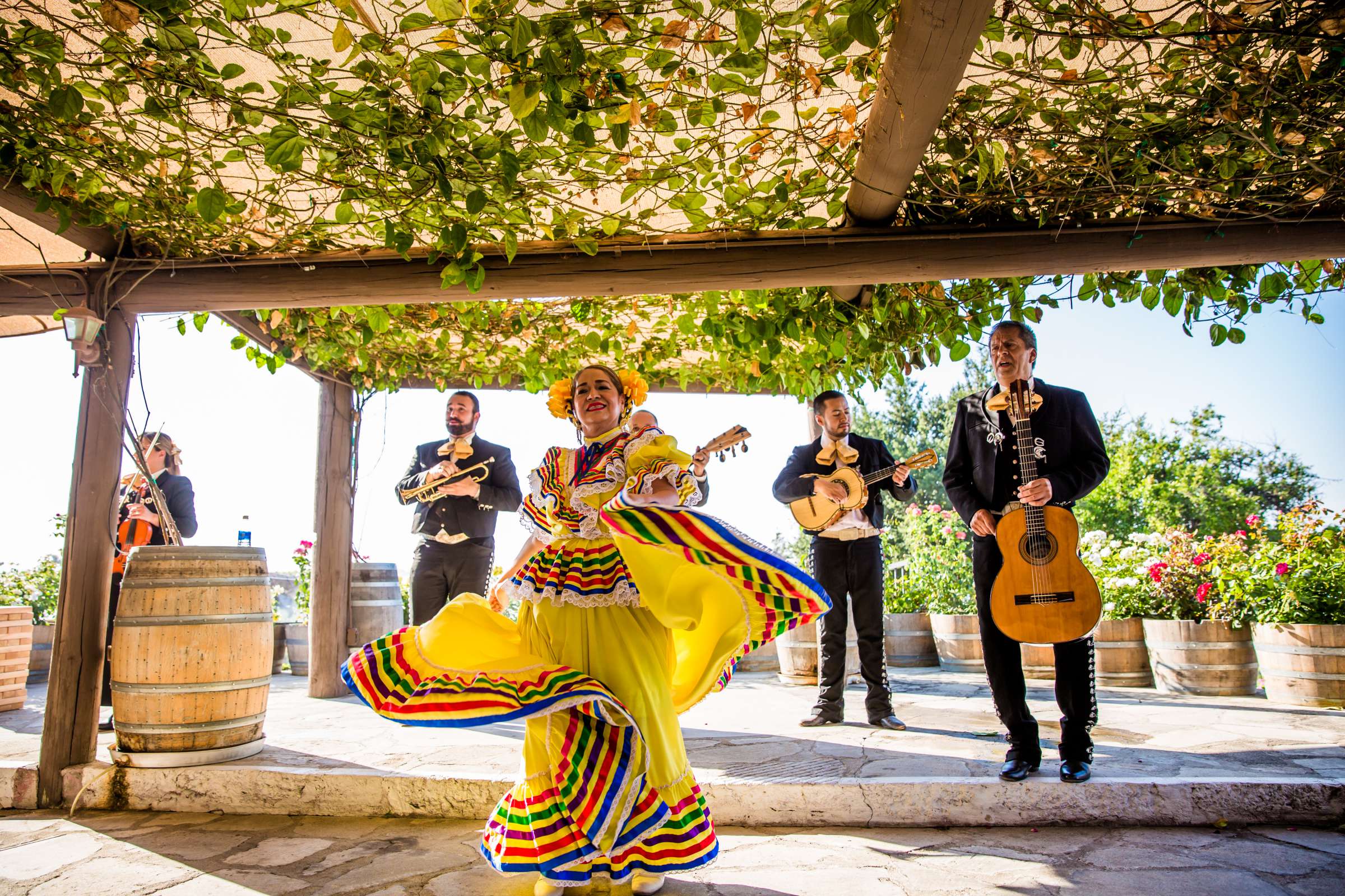 Callaway Vineyards & Winery Wedding, Natalia and Mike Wedding Photo #89 by True Photography