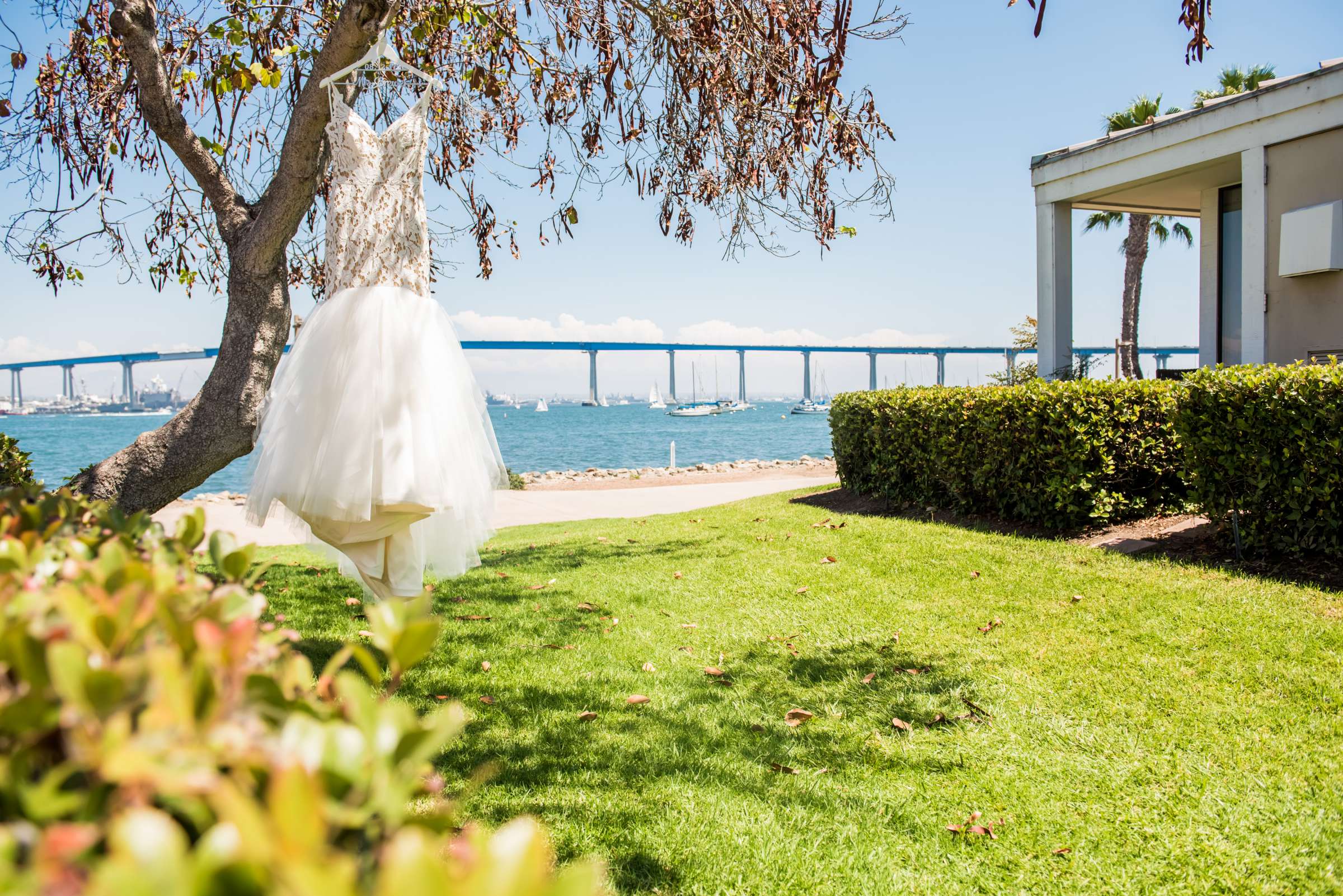 Coronado Island Marriott Resort & Spa Wedding coordinated by Bluestocking Weddings & Events, Ashleigh and Christopher Wedding Photo #157 by True Photography