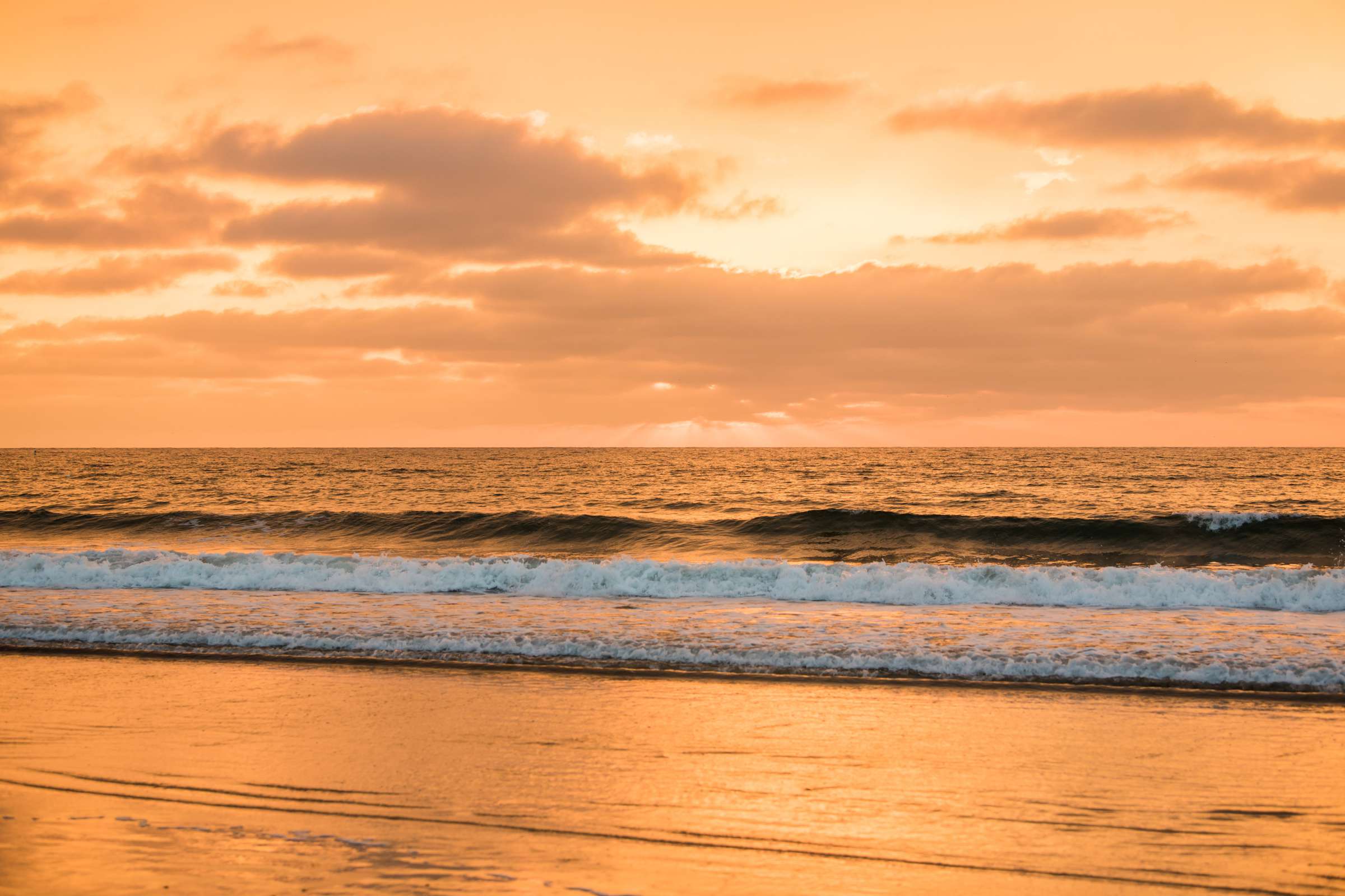 La Jolla Shores Hotel Wedding coordinated by I Do Weddings, Karalee and Richard Wedding Photo #410146 by True Photography