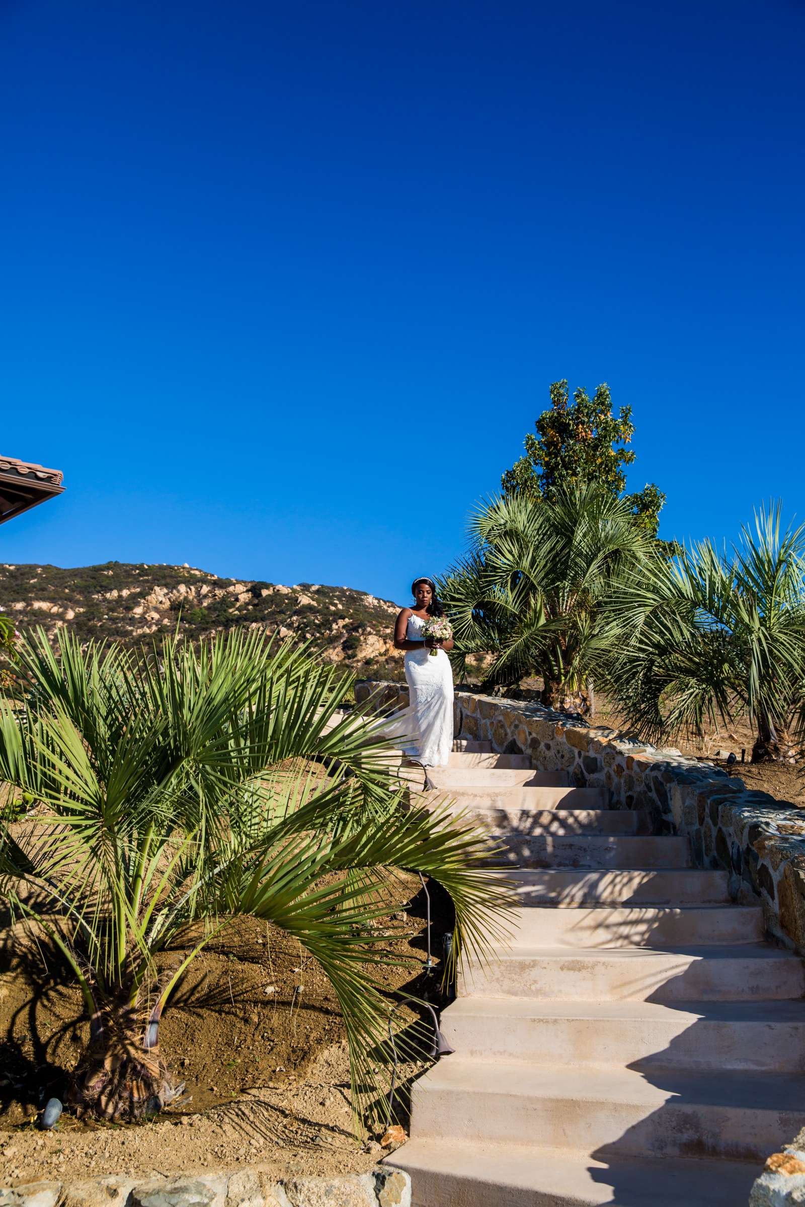 Montana Cielo Wedding coordinated by BASH WEDDINGS/EVENTS, Natasha and Lawarence Wedding Photo #418832 by True Photography