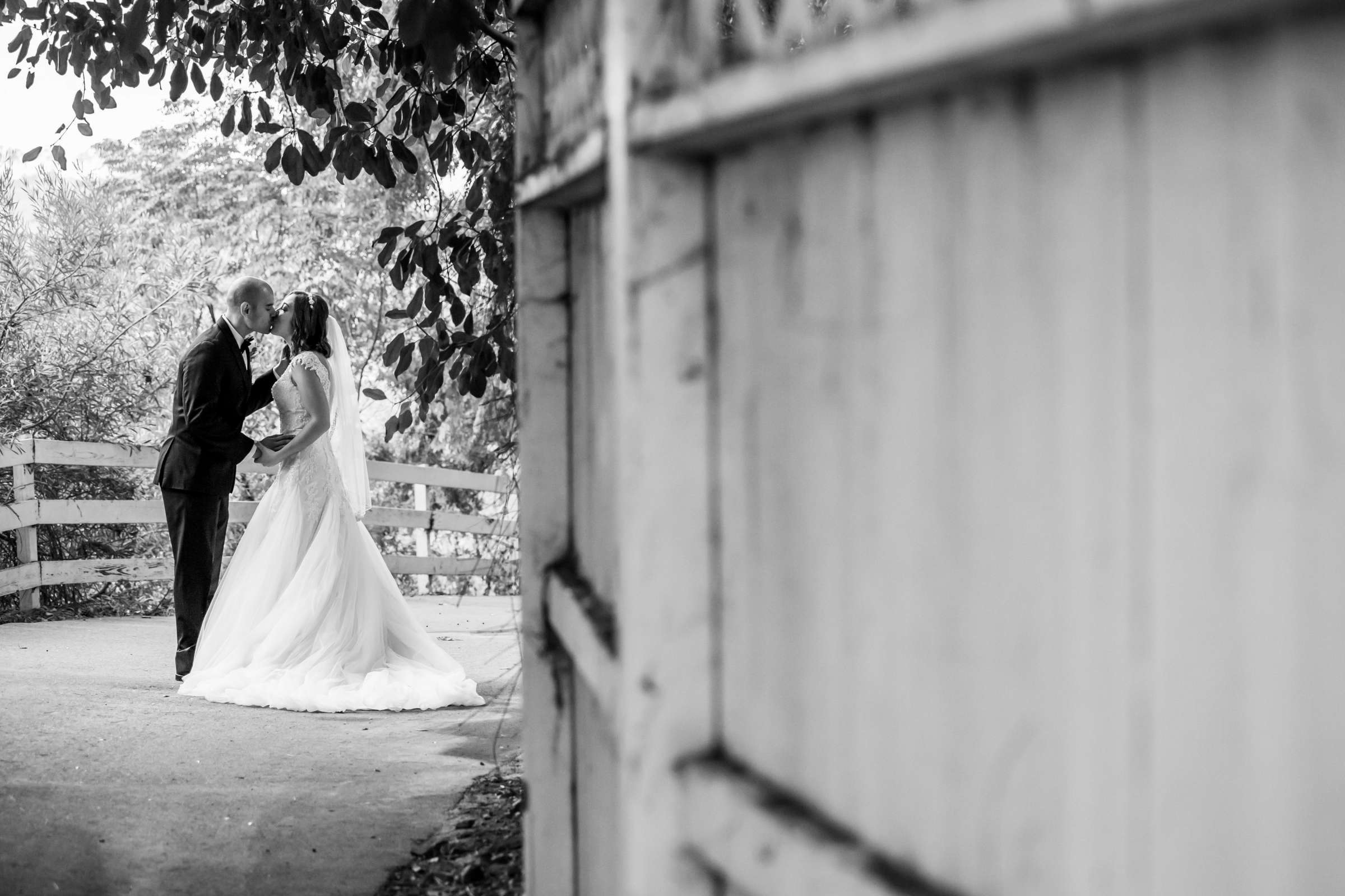 Green Gables Wedding Estate Wedding, Amanda and Ramiro Wedding Photo #425109 by True Photography