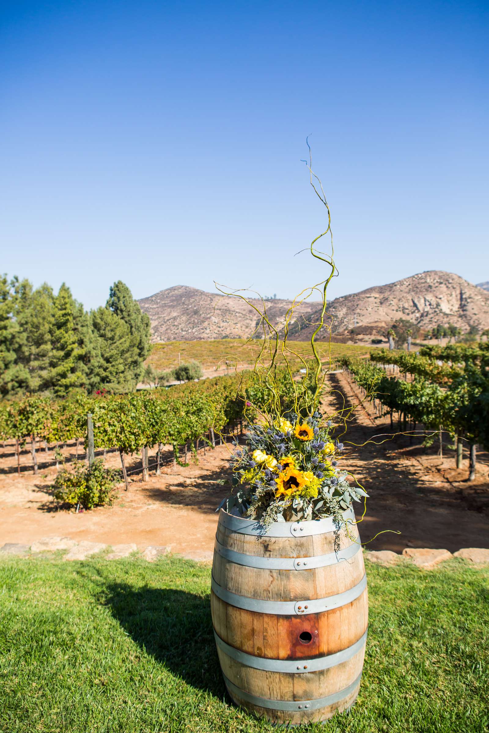 Orfila Vineyards Wedding coordinated by Always Flawless Productions, Vanessa and Barbara Wedding Photo #128 by True Photography