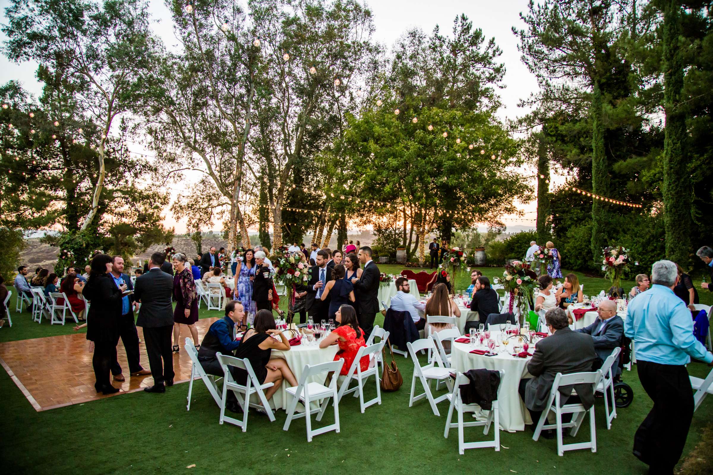 Falkner Winery Wedding, Roxana and Cameron Wedding Photo #427434 by True Photography