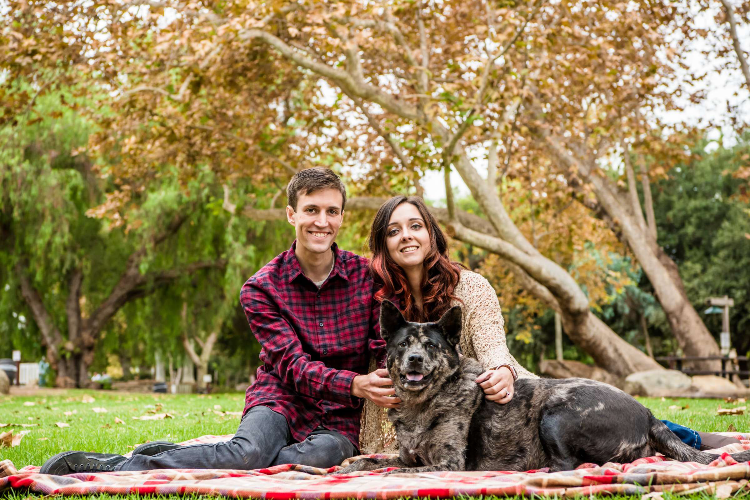 Engagement, Amber and Eric Engagement Photo #428348 by True Photography