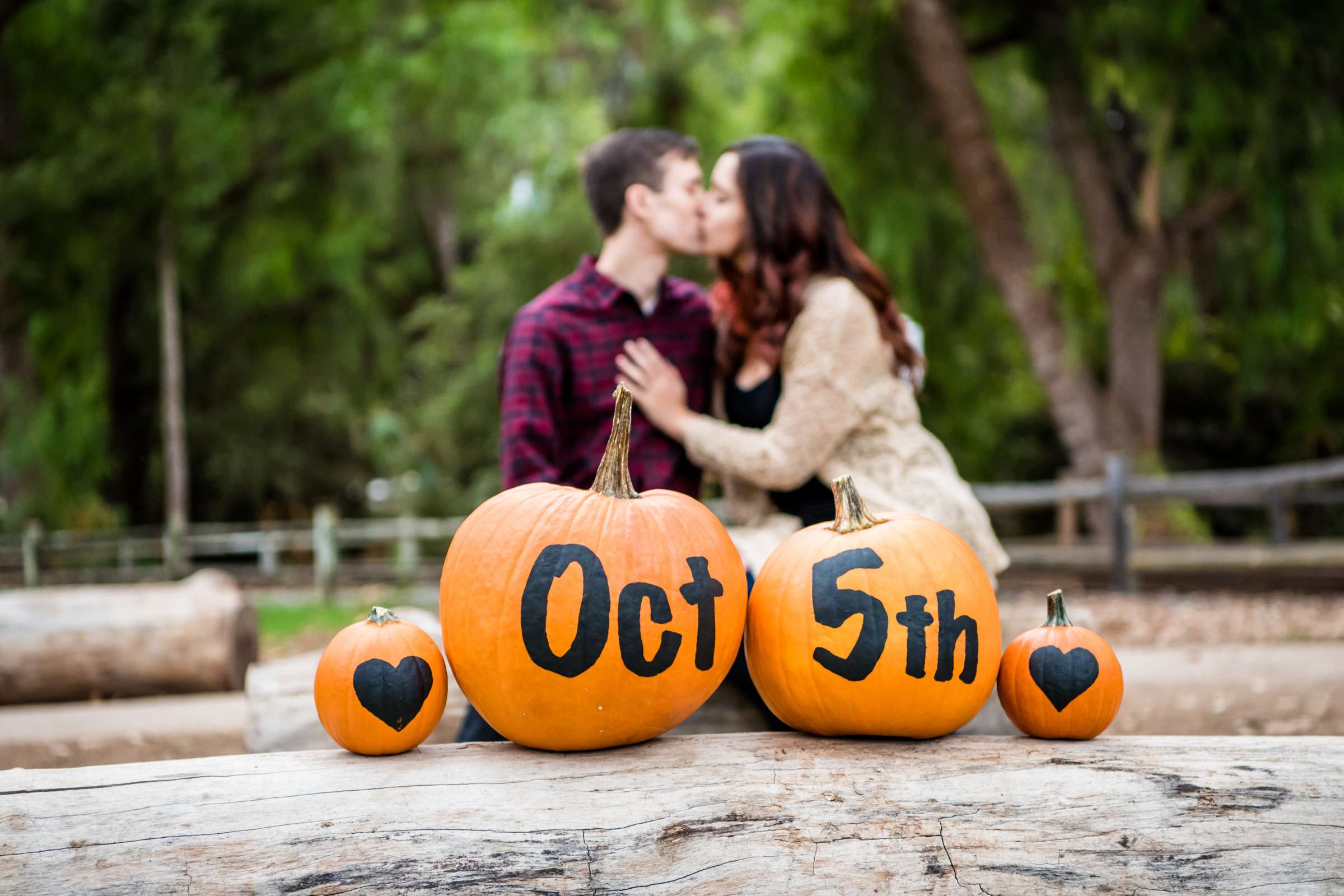 Engagement, Amber and Eric Engagement Photo #428360 by True Photography