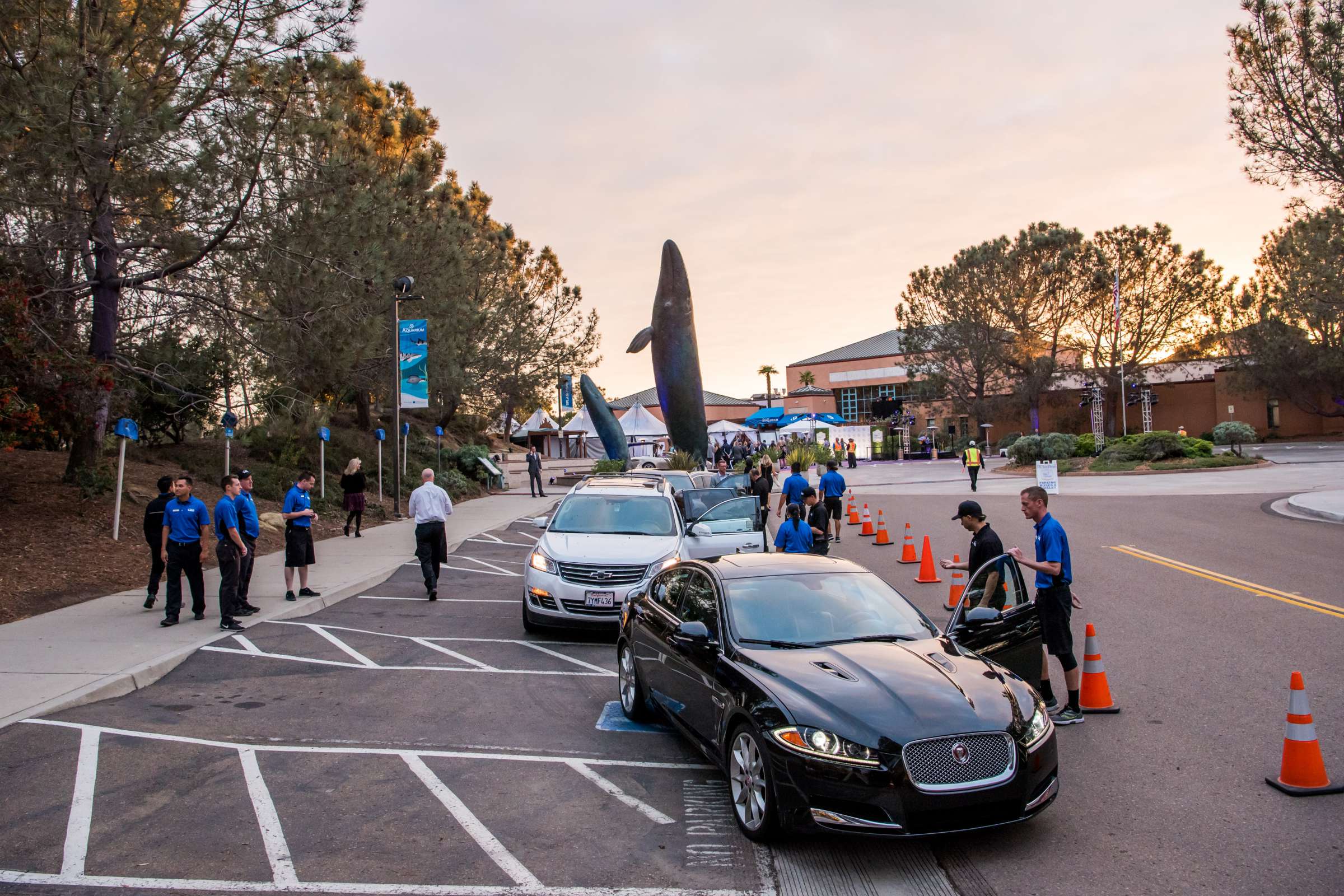 Birch Aquarium at Scripps Wedding, Breeders Cup Wedding Photo #428713 by True Photography