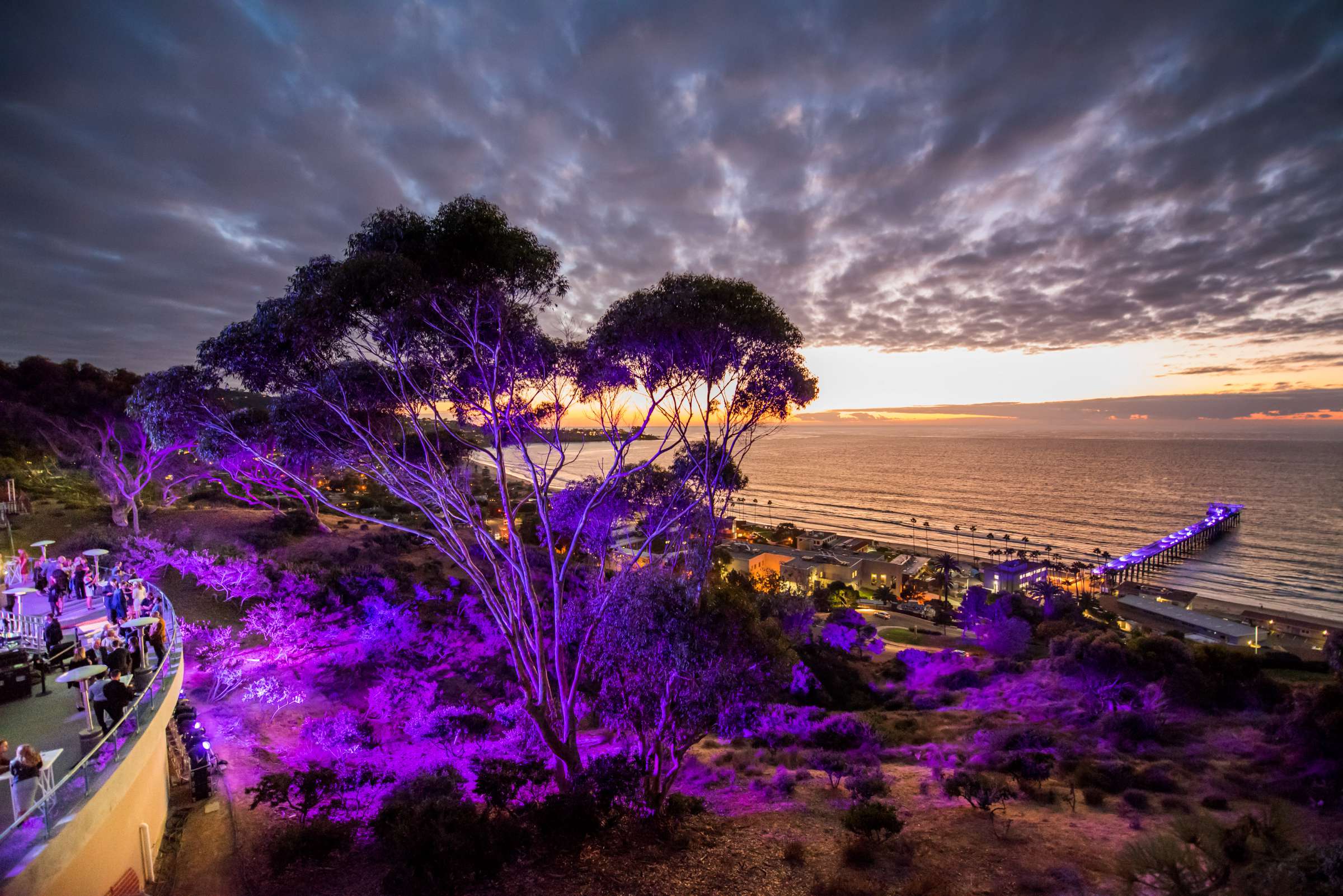 Birch Aquarium at Scripps Wedding, Breeders Cup Wedding Photo #428760 by True Photography