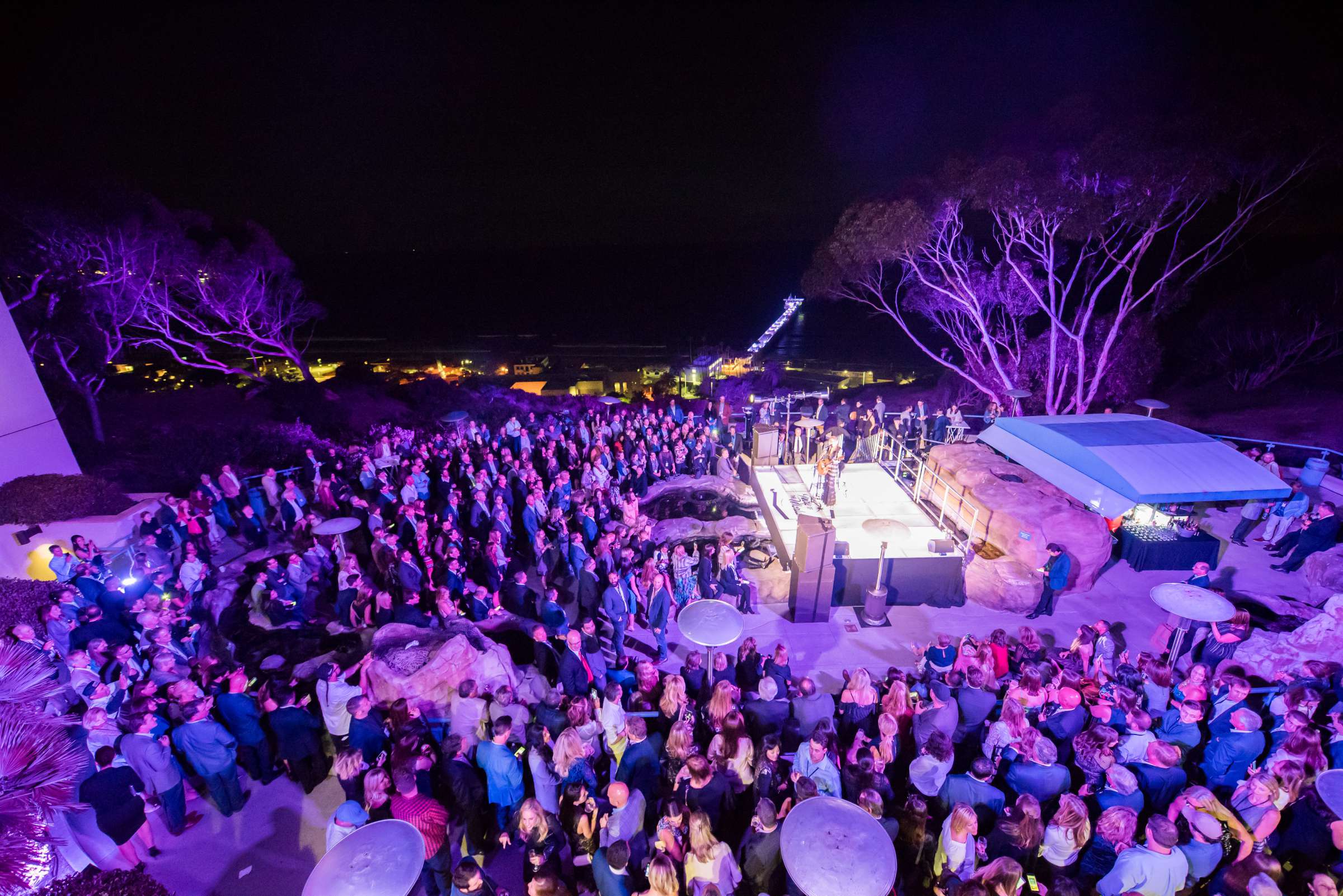 Birch Aquarium at Scripps Wedding, Breeders Cup Wedding Photo #428836 by True Photography