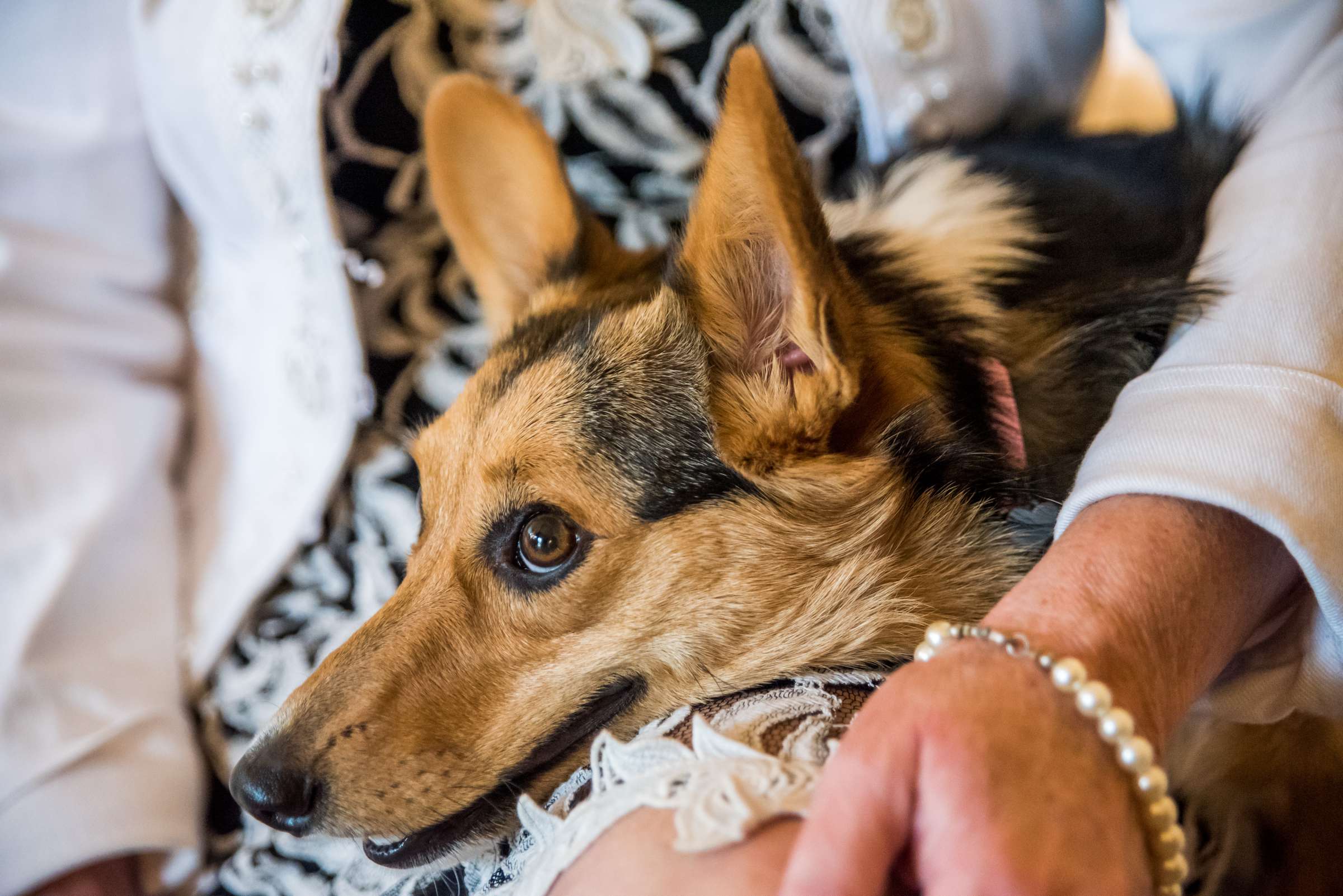 Rancho Bernardo Inn Wedding, Brianne and Eric Wedding Photo #19 by True Photography