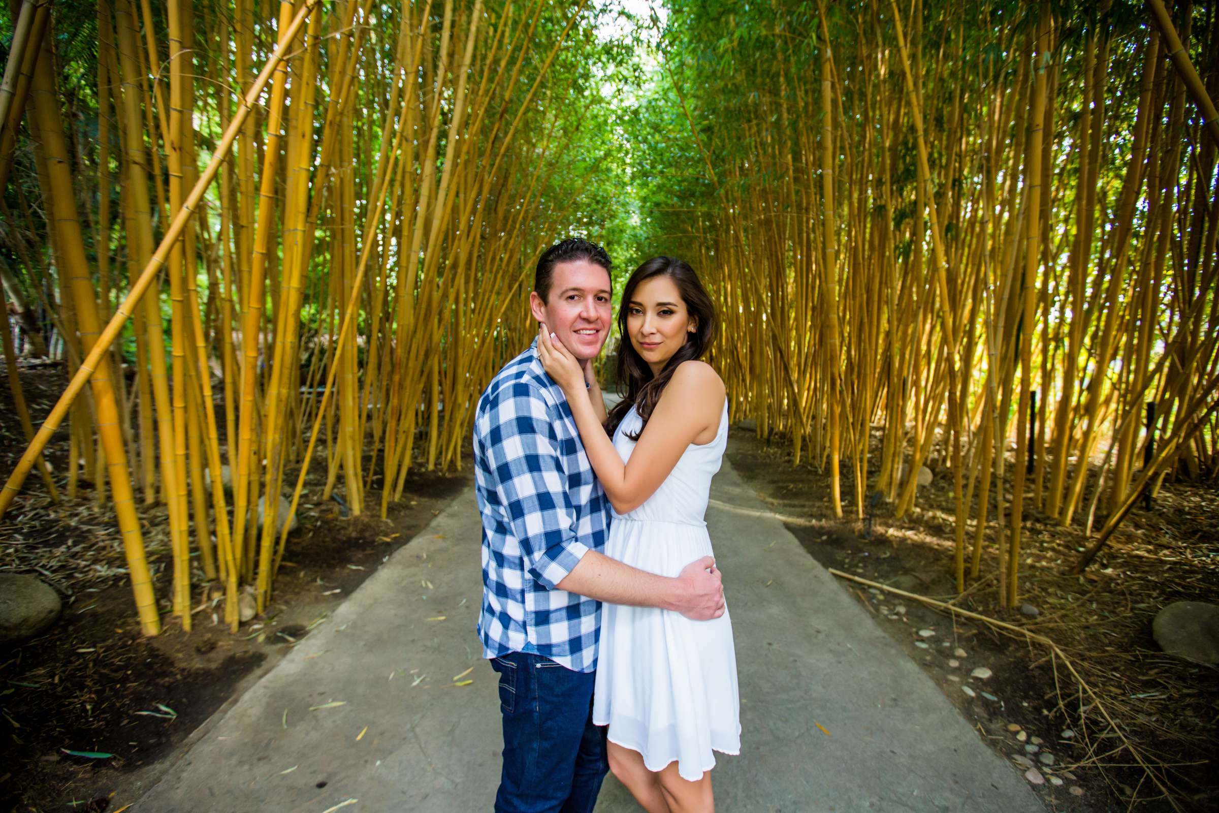 Engagement, Sarah and Zach Engagement Photo #449350 by True Photography