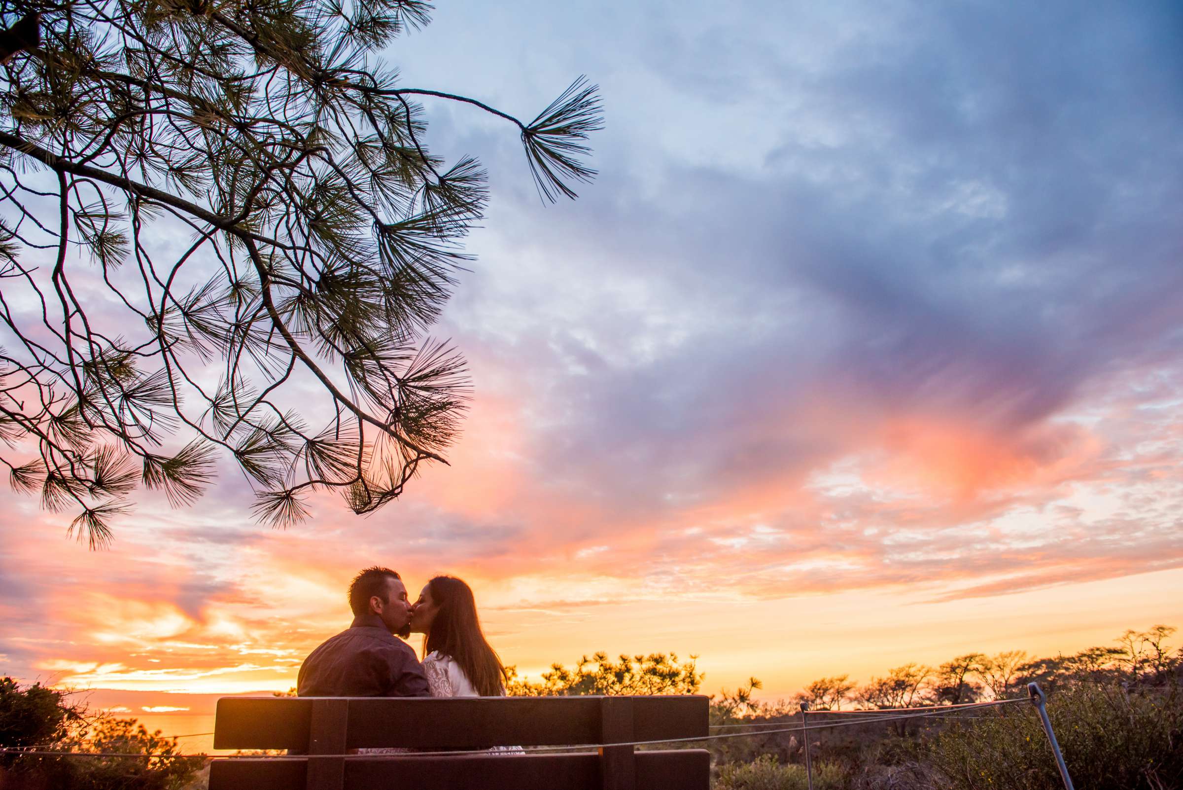 Engagement, Jasmin and Adam Engagement Photo #11 by True Photography