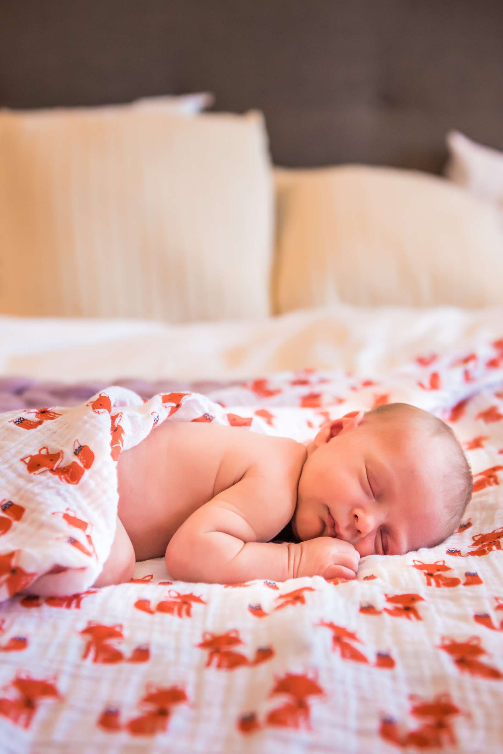 Newborn Photo Session, Adrienne and Noah Newborn Photo #7 by True Photography