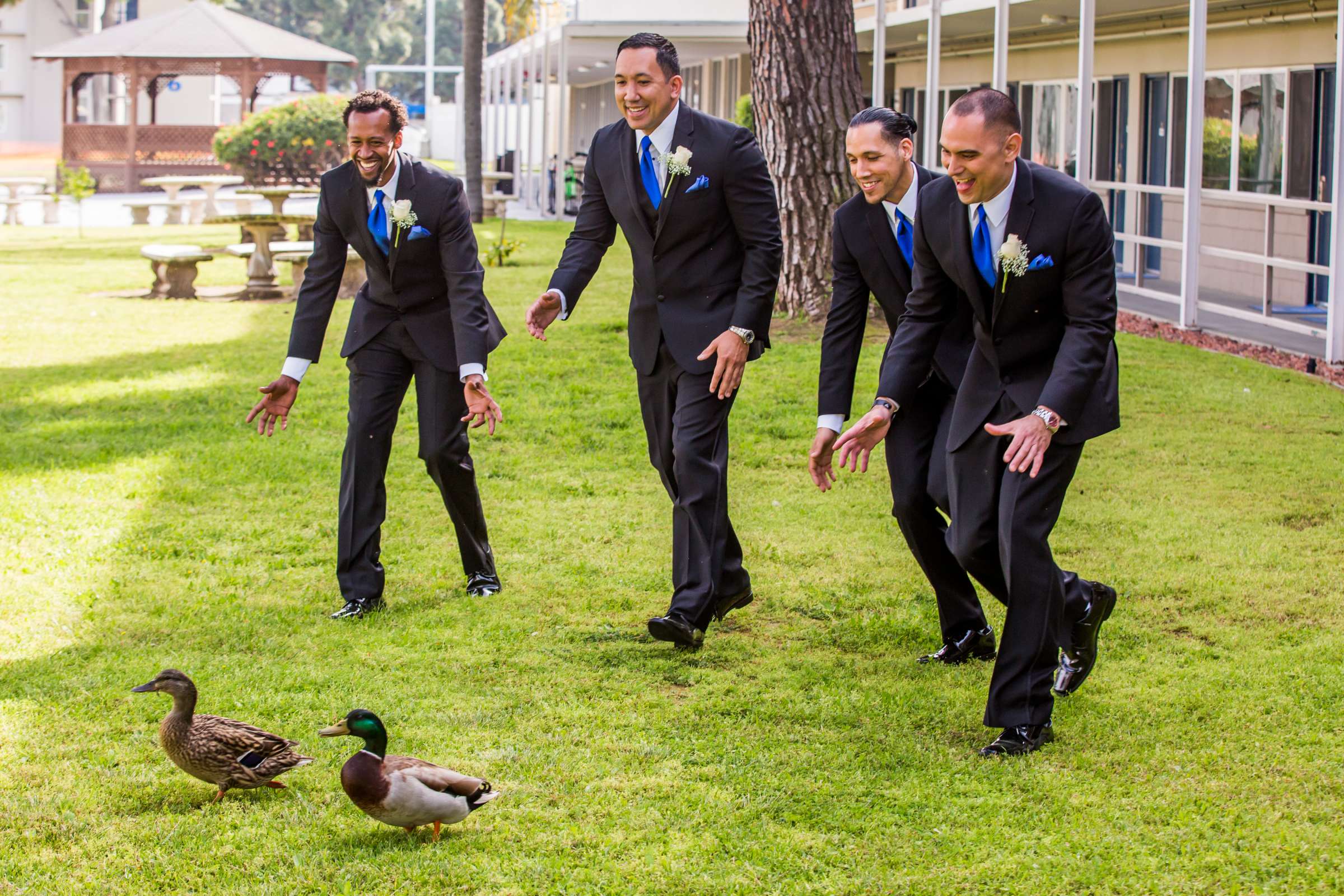 Admiral Kidd Club Wedding coordinated by Hannah Smith Events, HOLLY and GUY Wedding Photo #12 by True Photography