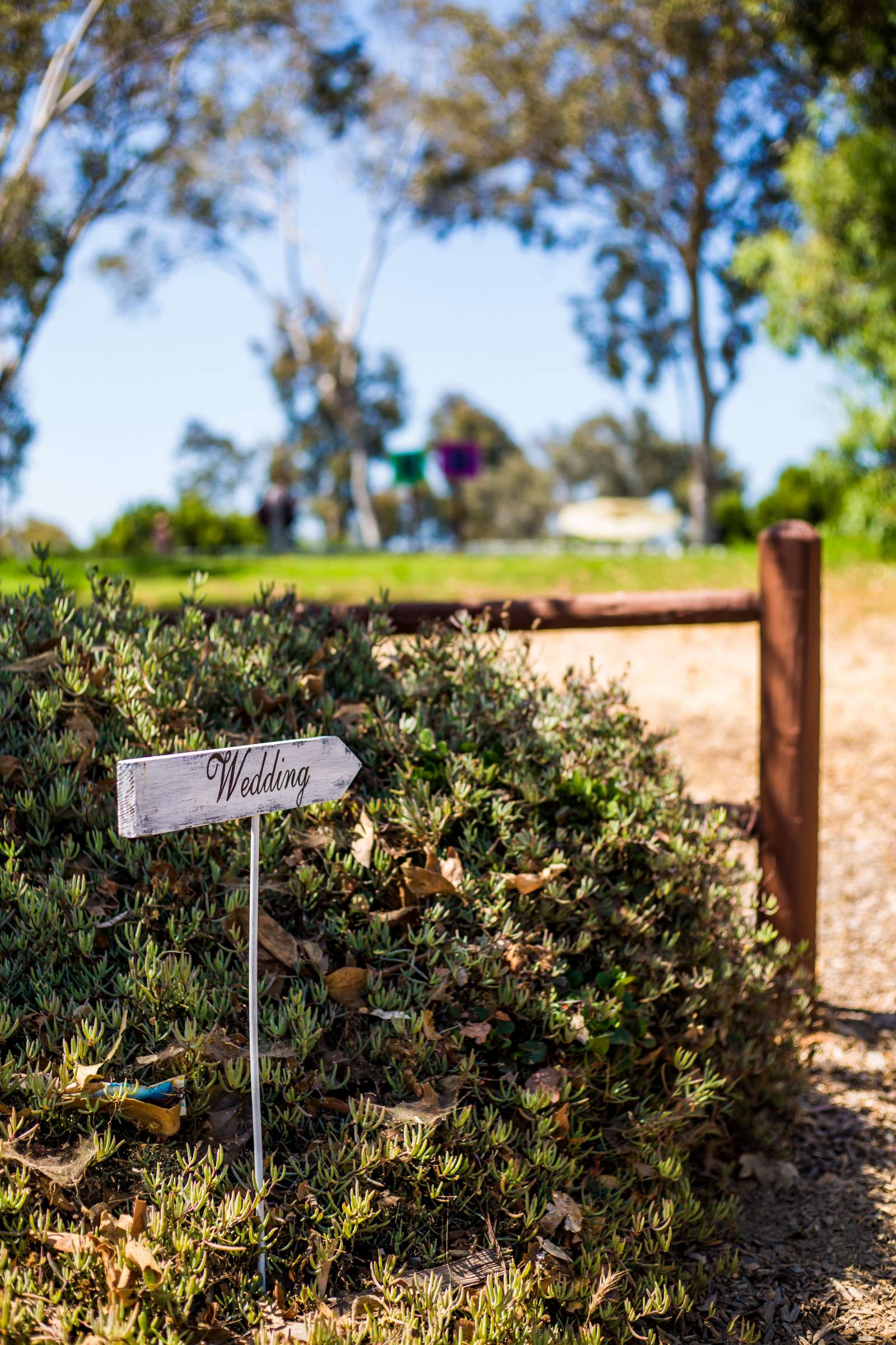 Wedding coordinated by Elements of Style, Katie and David Wedding Photo #489343 by True Photography