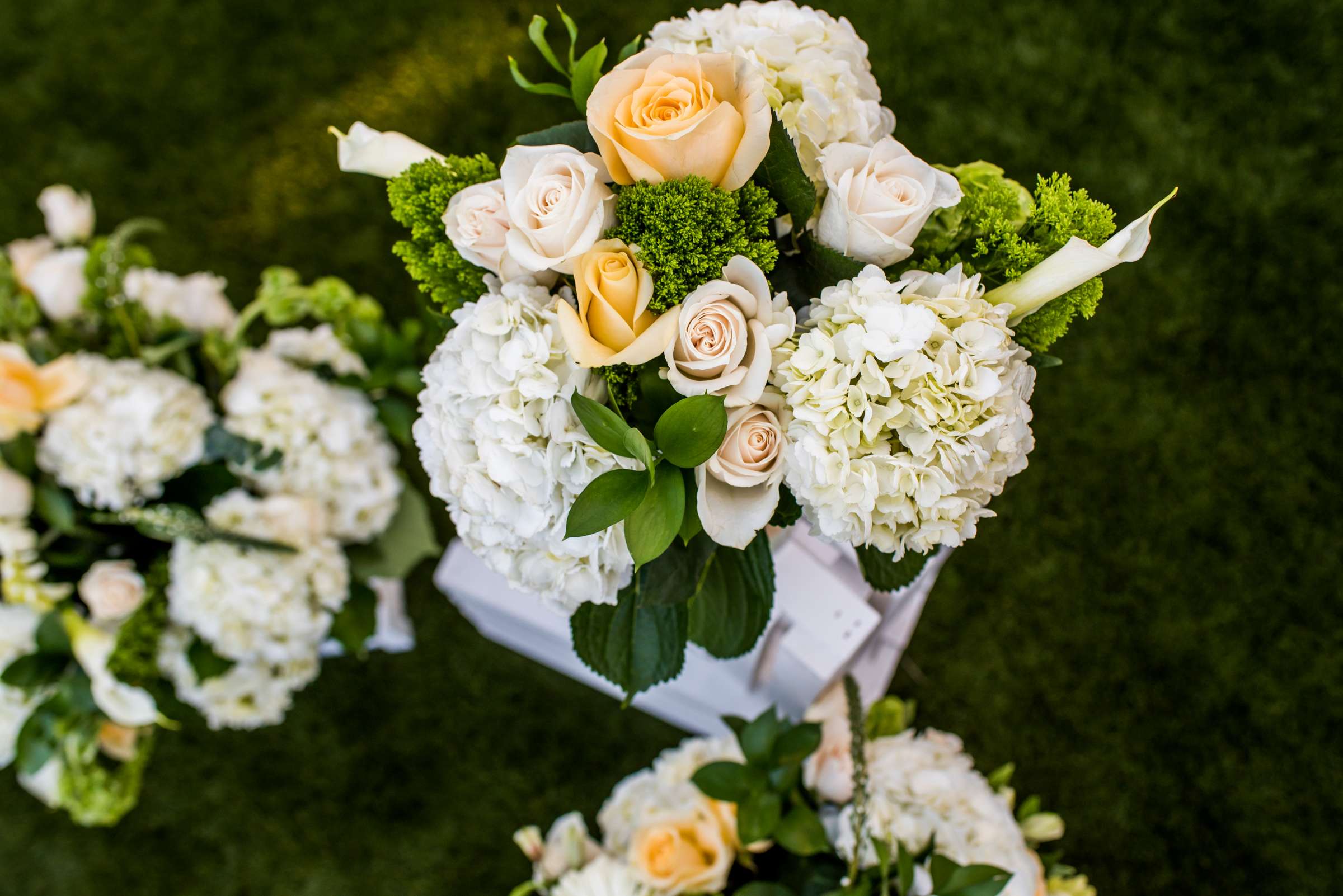 Cape Rey Wedding, Laura and Darin Wedding Photo #81 by True Photography