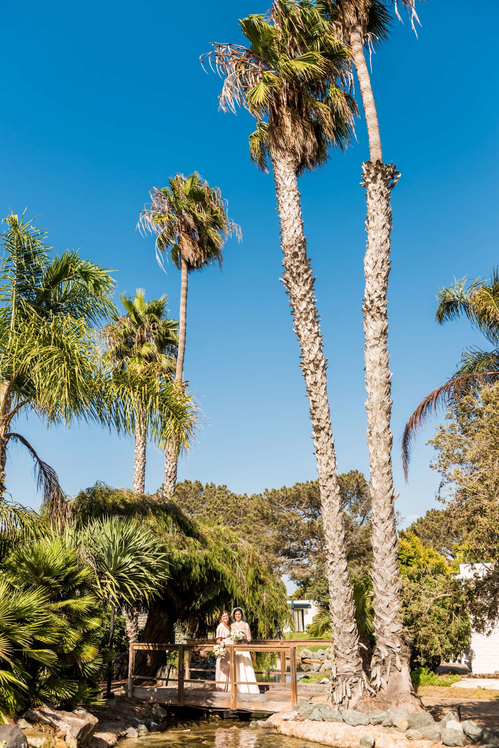 Paradise Point Wedding, Kendall and Bryan Wedding Photo #500396 by True Photography