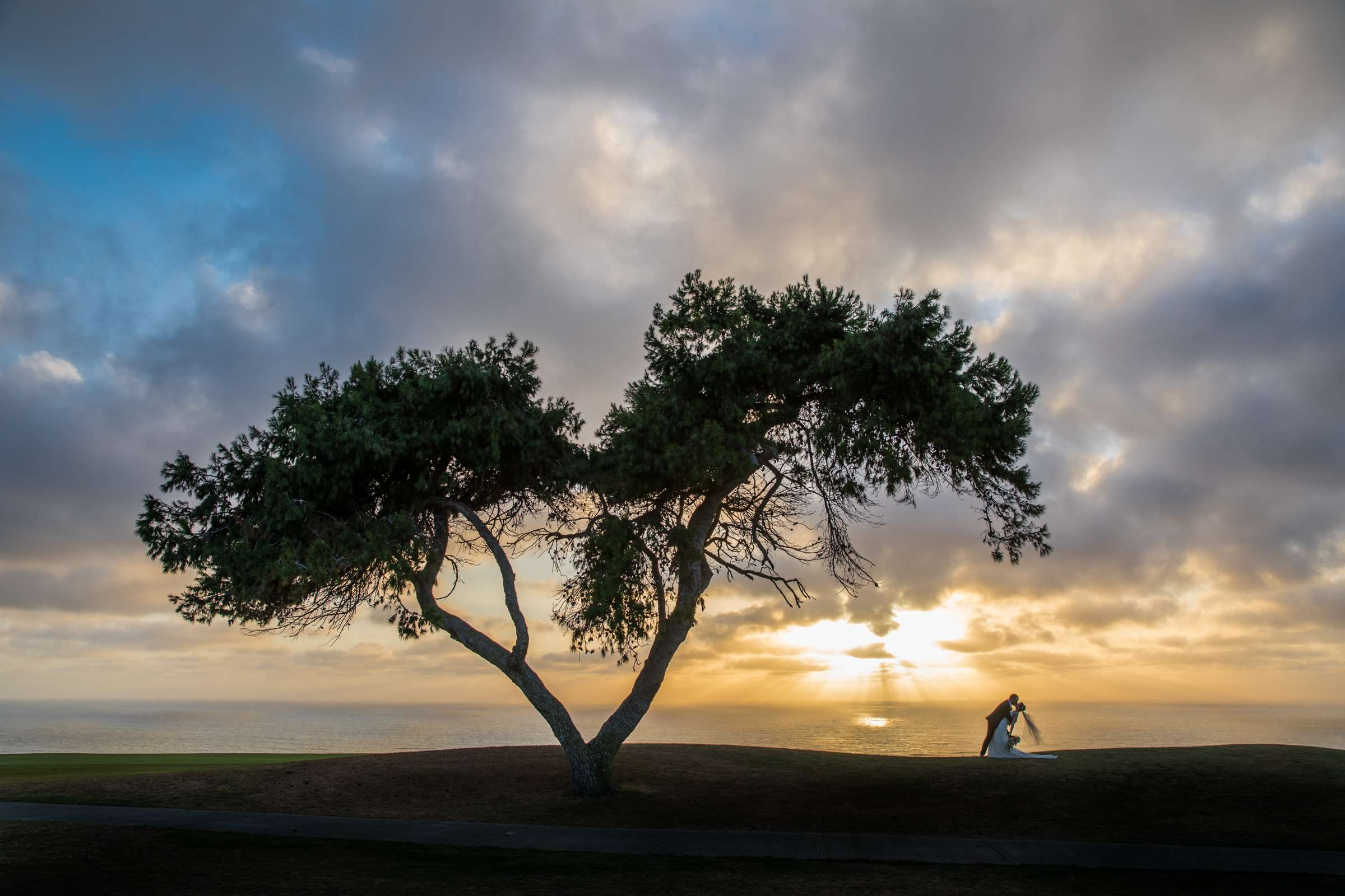 Lodge at Torrey Pines Wedding coordinated by CBS Weddings, Erin and Brendan Wedding Photo #502519 by True Photography