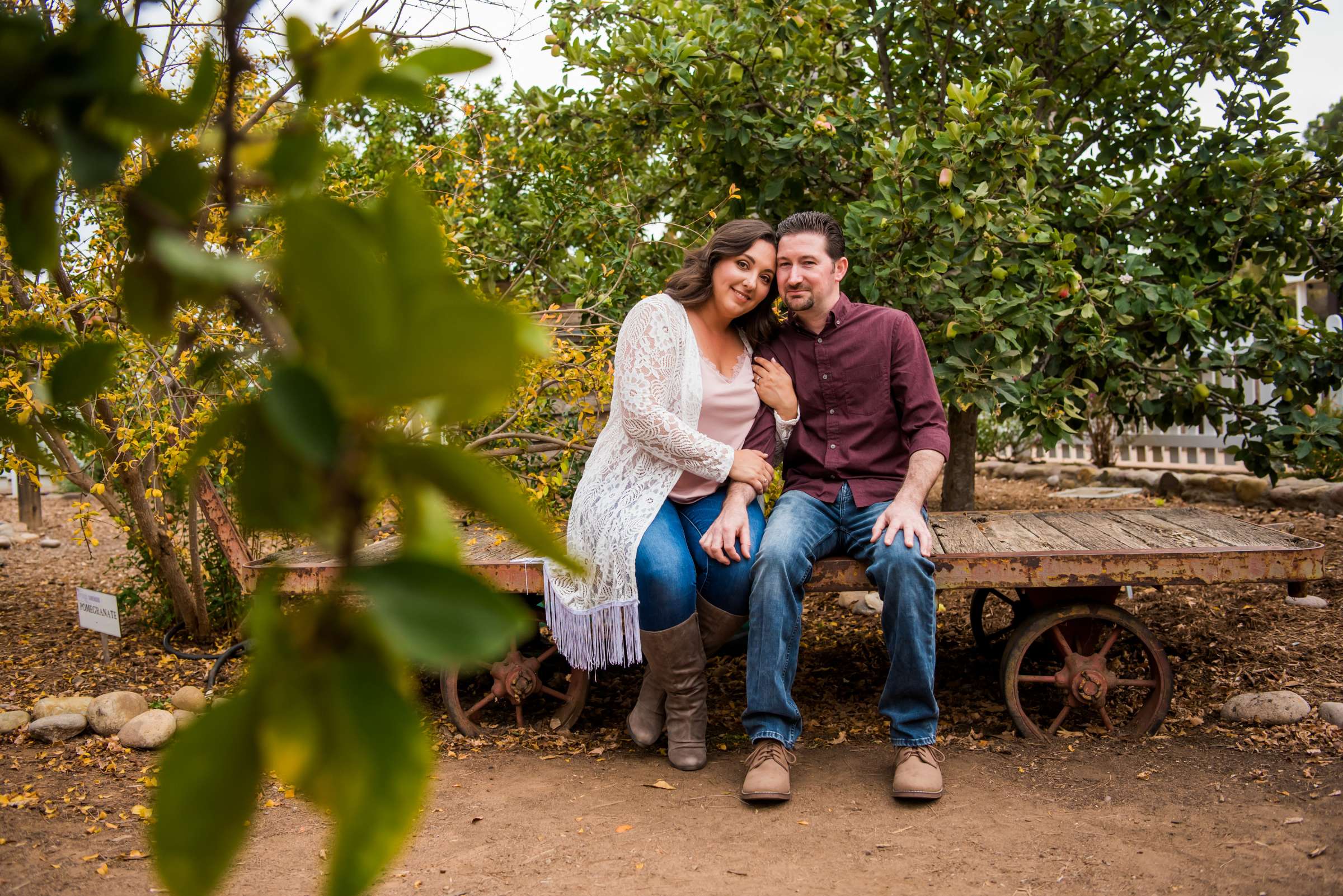 Engagement, Lairel and Matt Engagement Photo #1 by True Photography