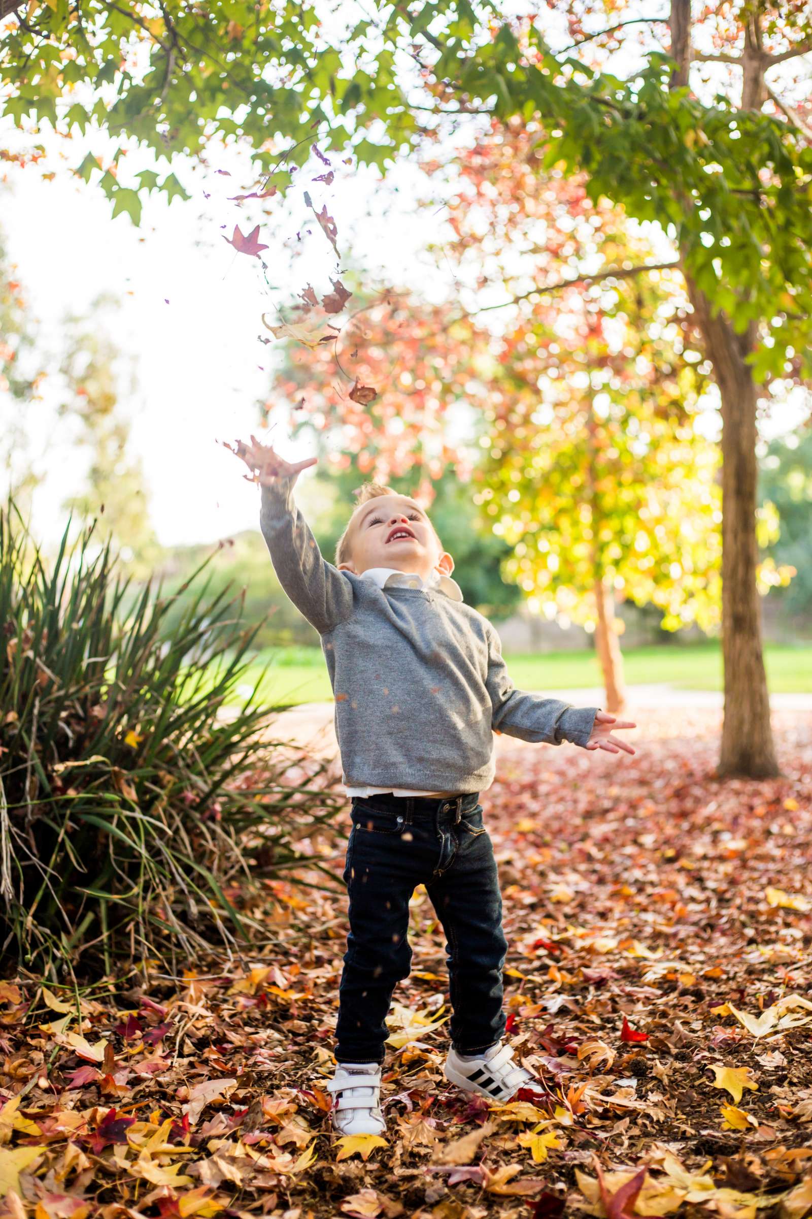 Family Portraits, Kacy Doster Family Photo #22 by True Photography