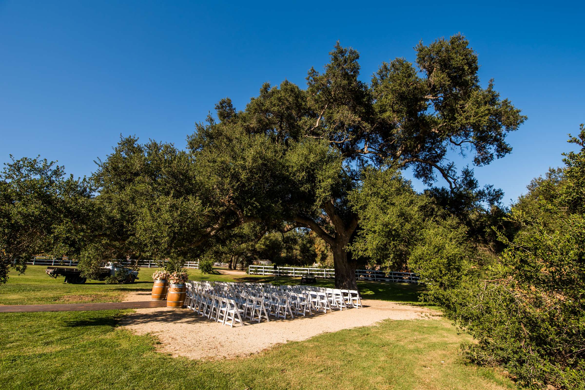 Circle Oak Ranch Weddings Wedding, Kelly and Will Wedding Photo #117 by True Photography