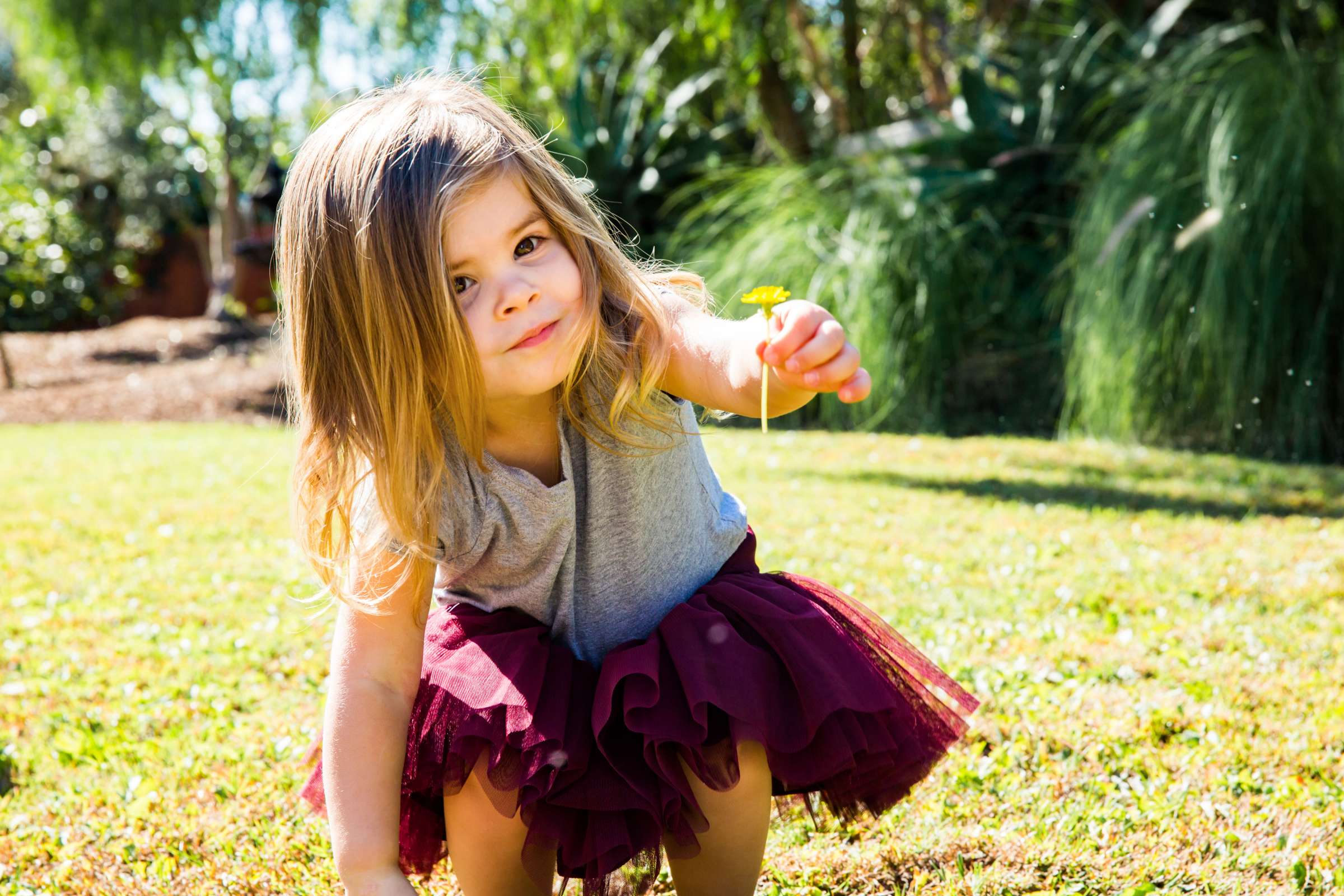 Family Portraits, Annarose Lopez Family Photo #510261 by True Photography