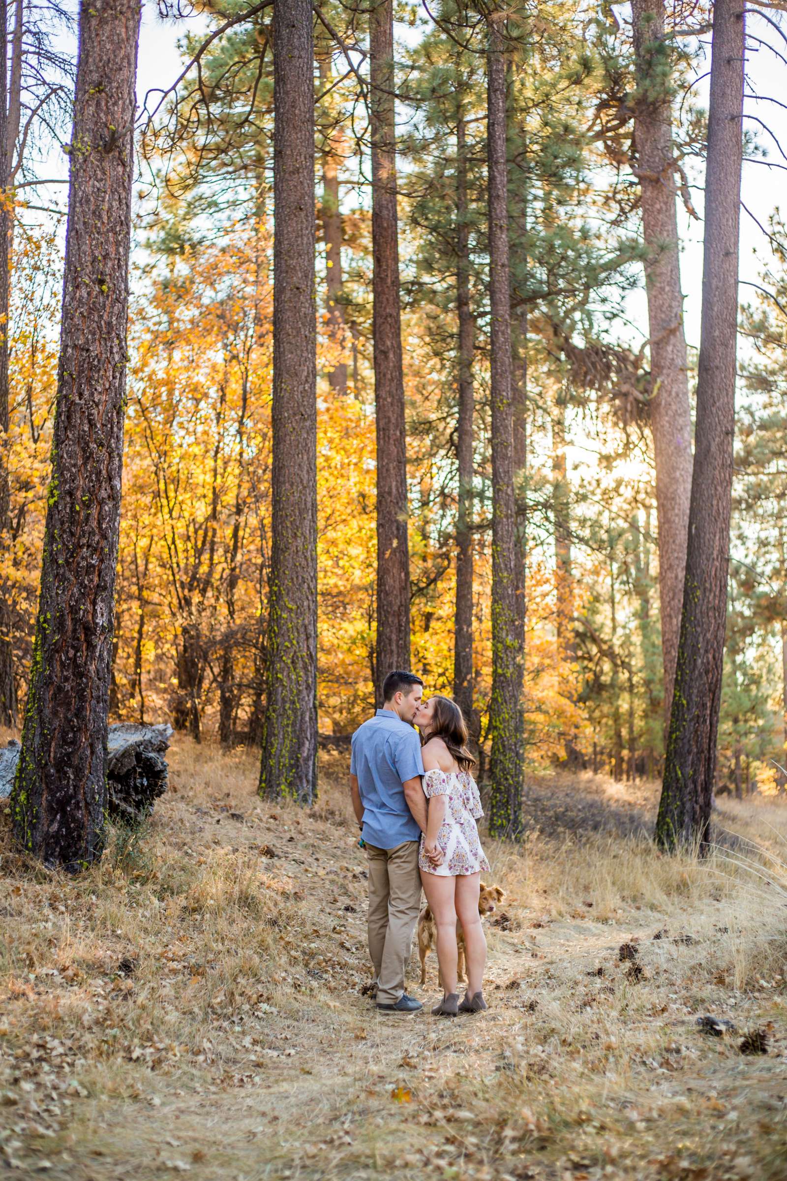 Engagement, Emily and Tommy Engagement Photo #512023 by True Photography