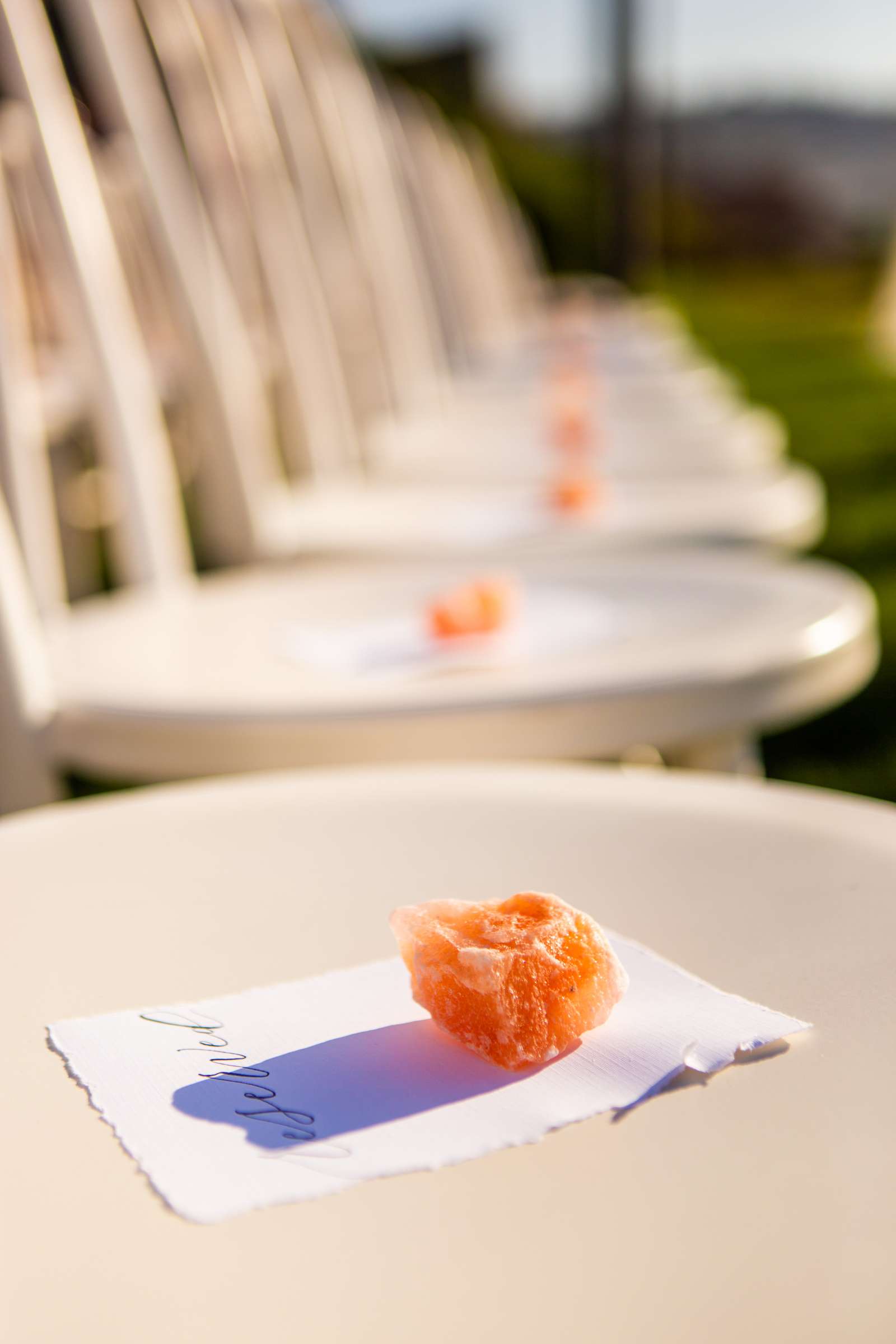 Scripps Seaside Forum Wedding coordinated by Amorology Weddings, Megan and Gregory Wedding Photo #152 by True Photography