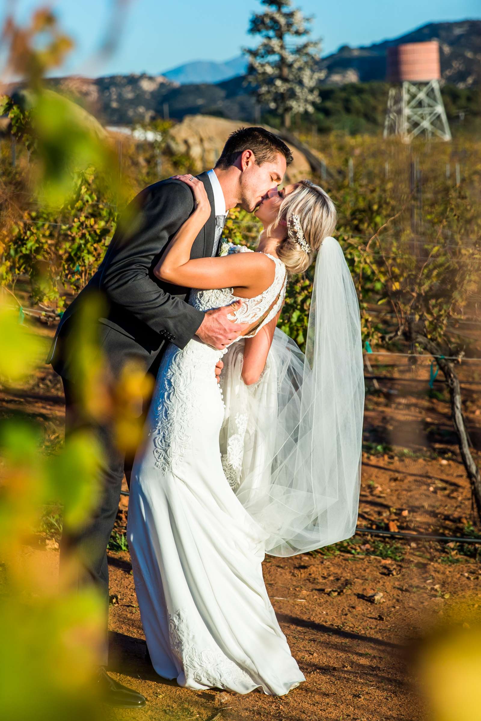 Cordiano Winery Wedding coordinated by Sisti & Co, Sara and Kyle Wedding Photo #81 by True Photography