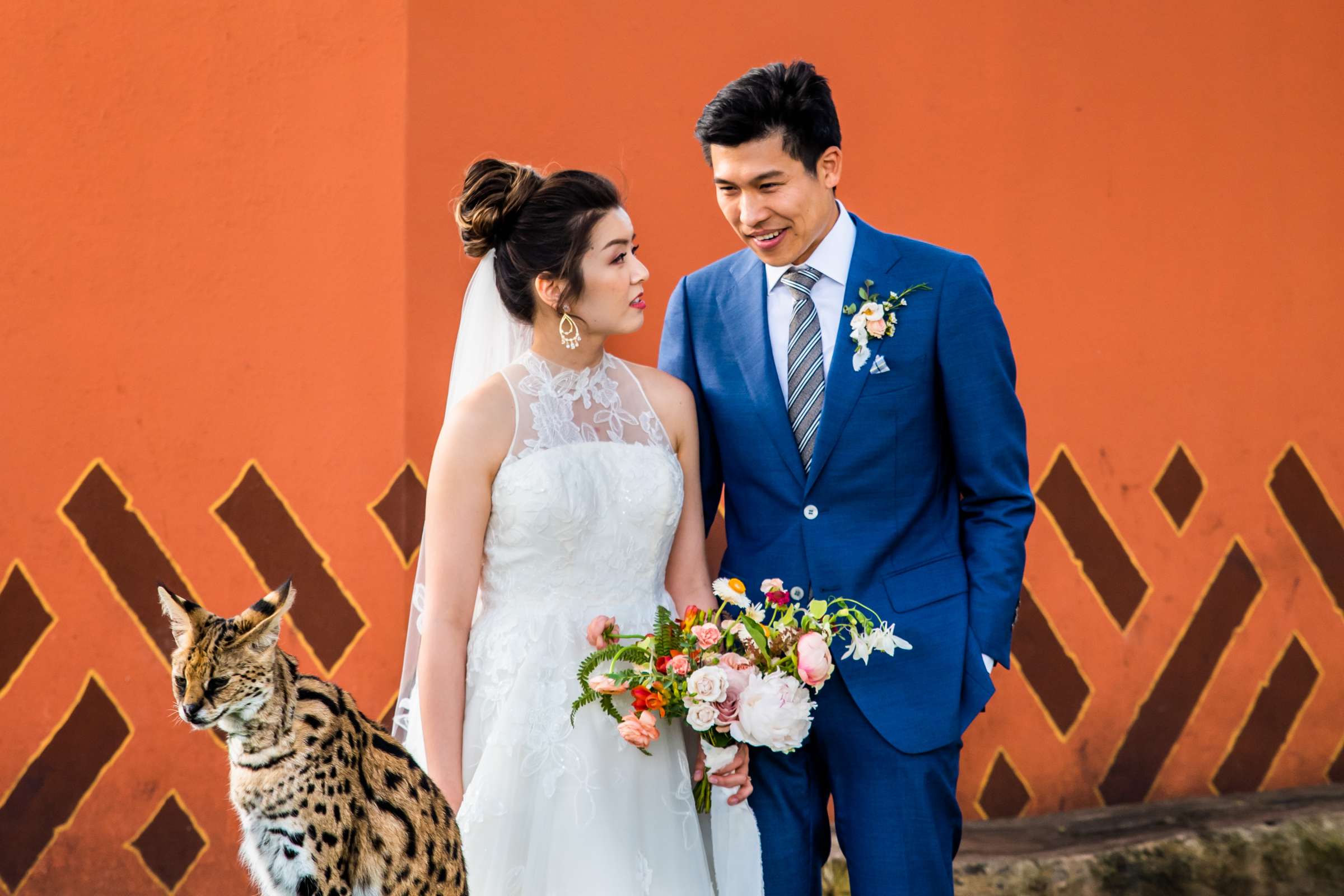 Safari Park Wedding coordinated by Holly Kalkin Weddings, Min and Edward Wedding Photo #539278 by True Photography