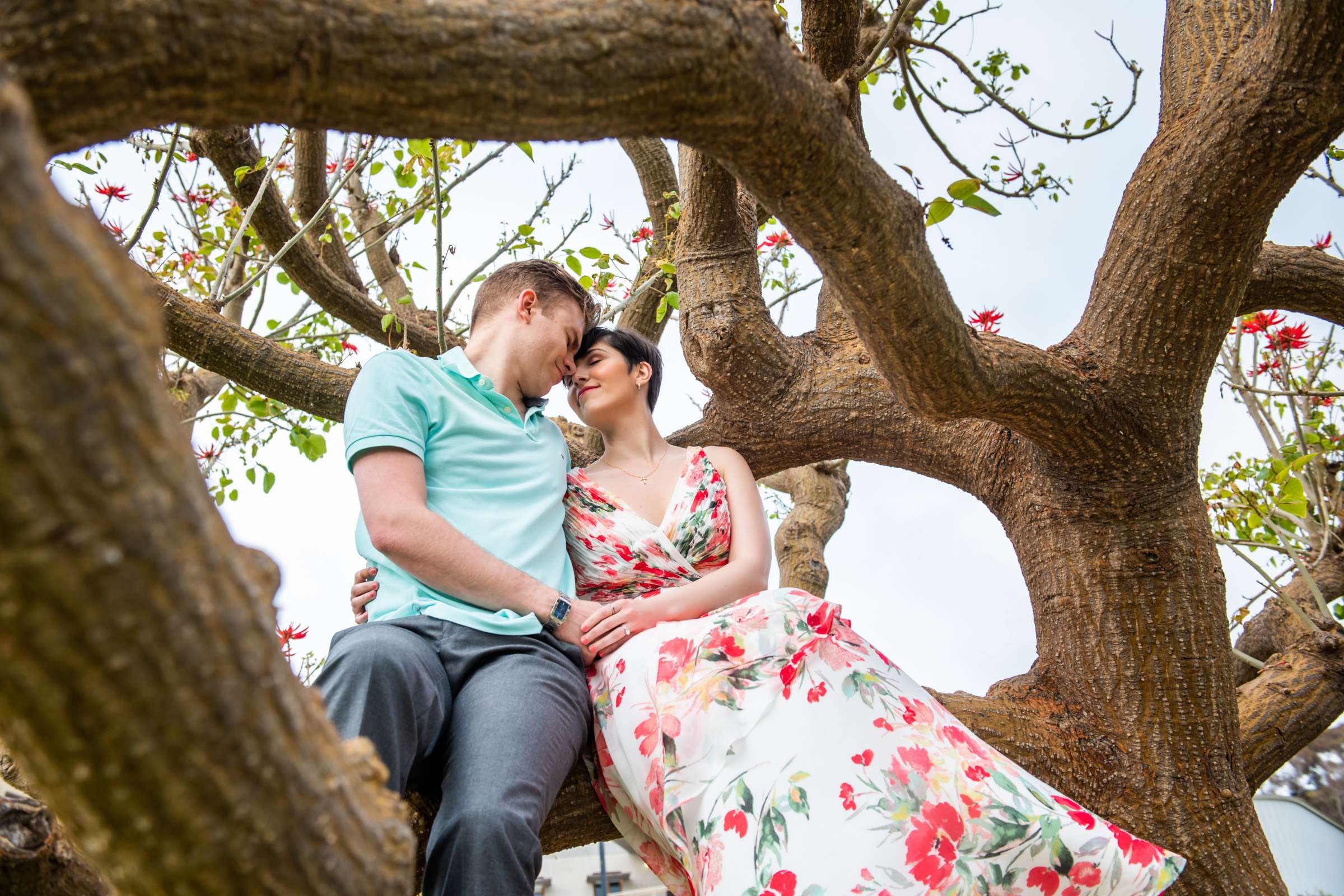 Engagement, Diana and Harrison Engagement Photo #32 by True Photography