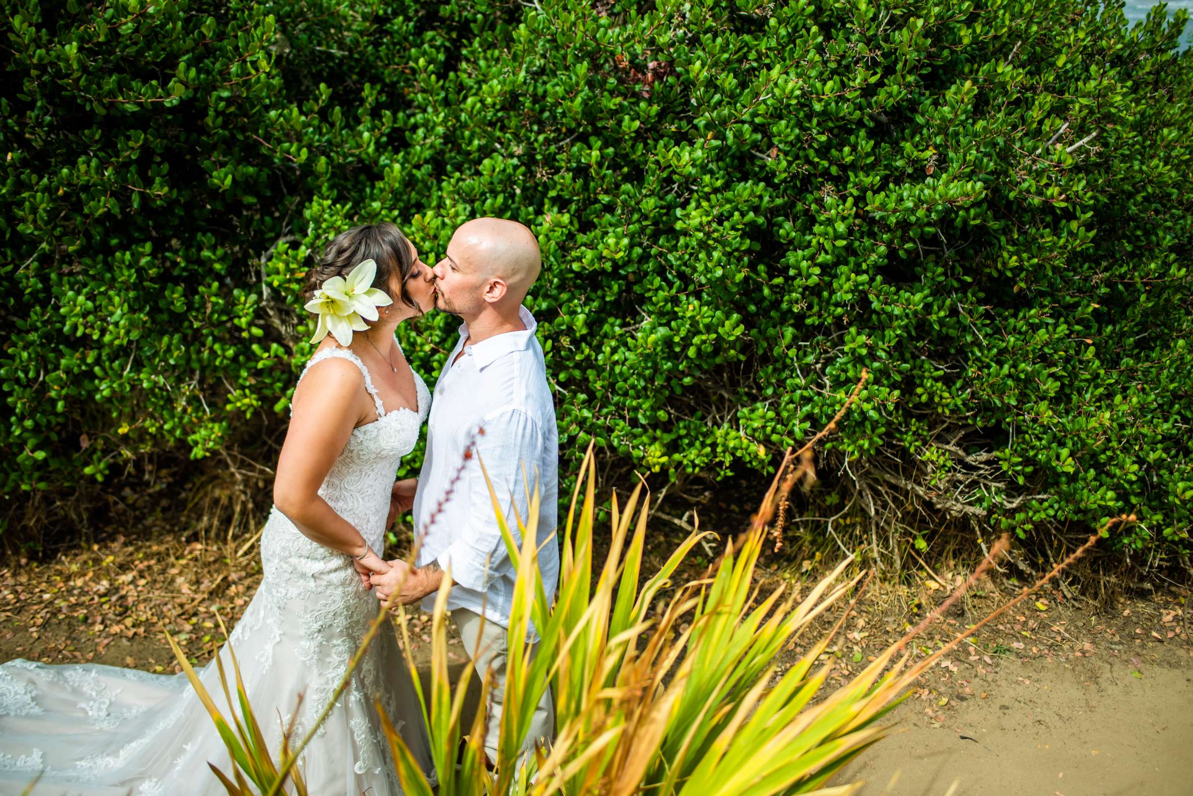 Wedding, Jenny and Shawn Wedding Photo #543923 by True Photography