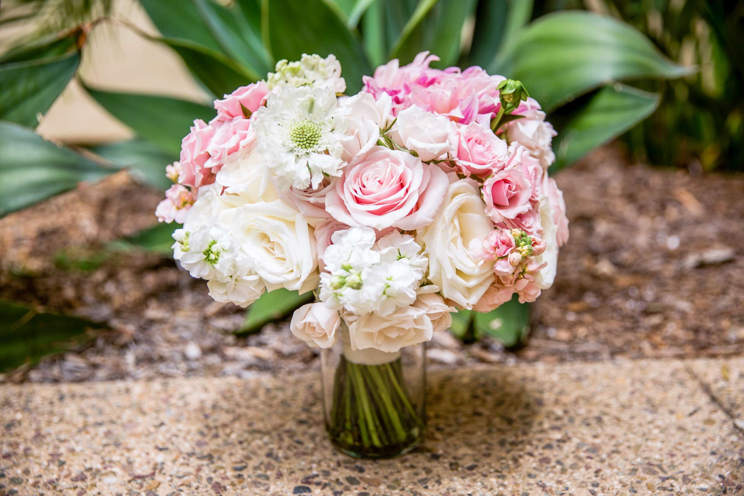 Estancia Wedding coordinated by White Lace Events & Design, Kelli and Guy Wedding Photo #183 by True Photography