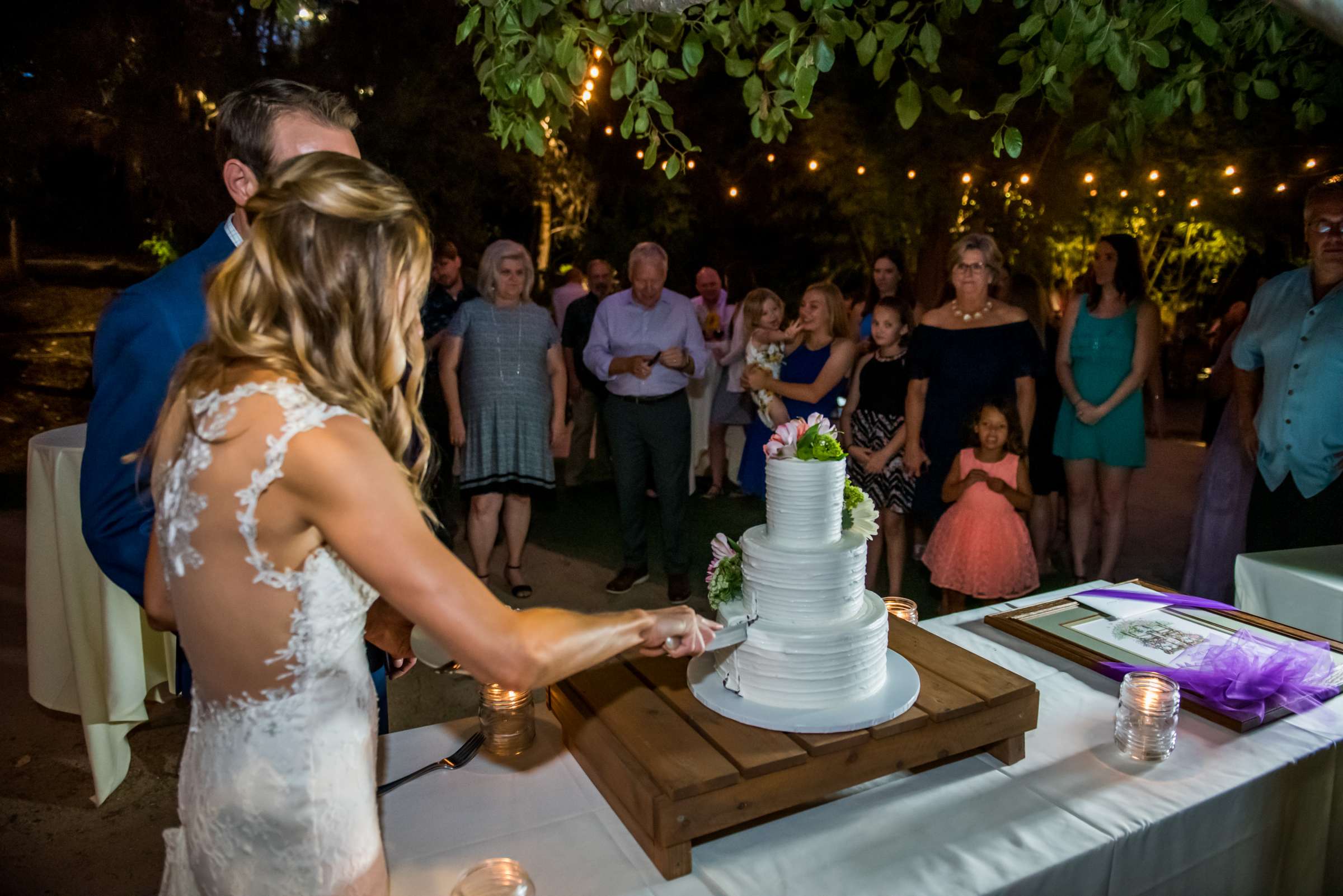 Torrey Pines State Natural Reserve Wedding, Lizzy and Justin Wedding Photo #121 by True Photography