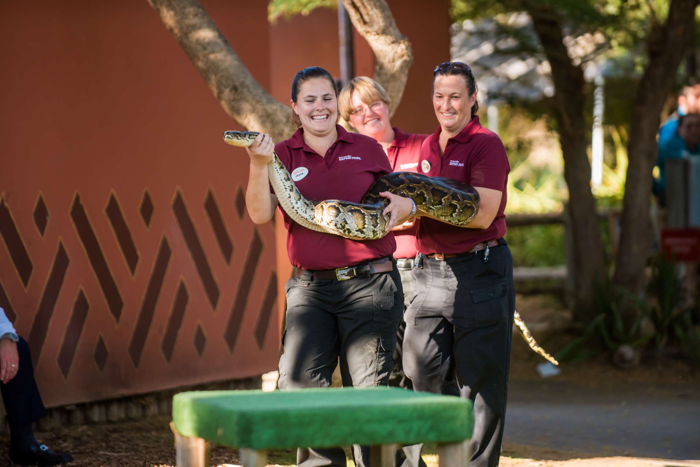 Safari Park Wedding, Rebecca and Corey Wedding Photo #44 by True Photography