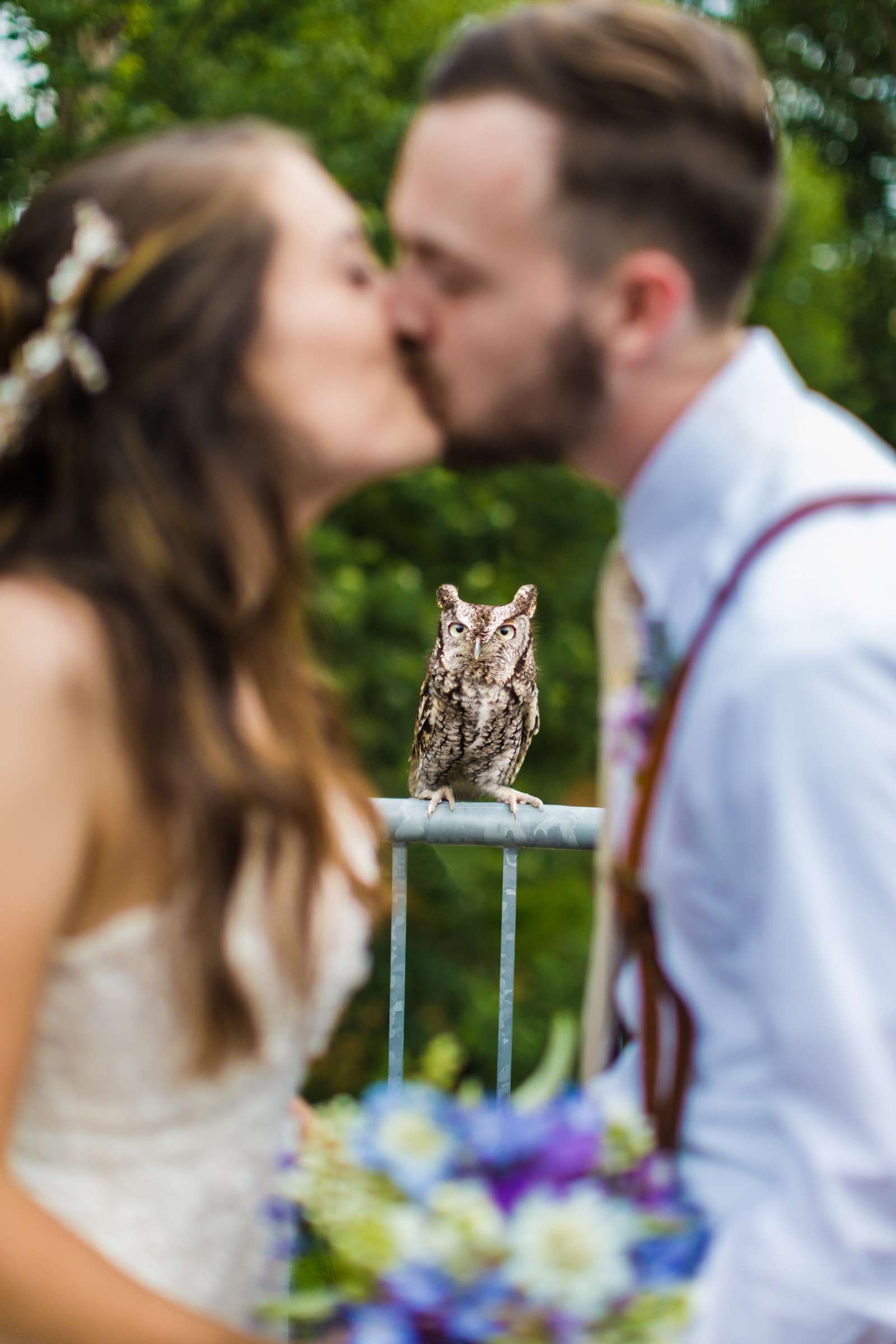 Wedding, Loading Wedding Photo #2 by True Photography