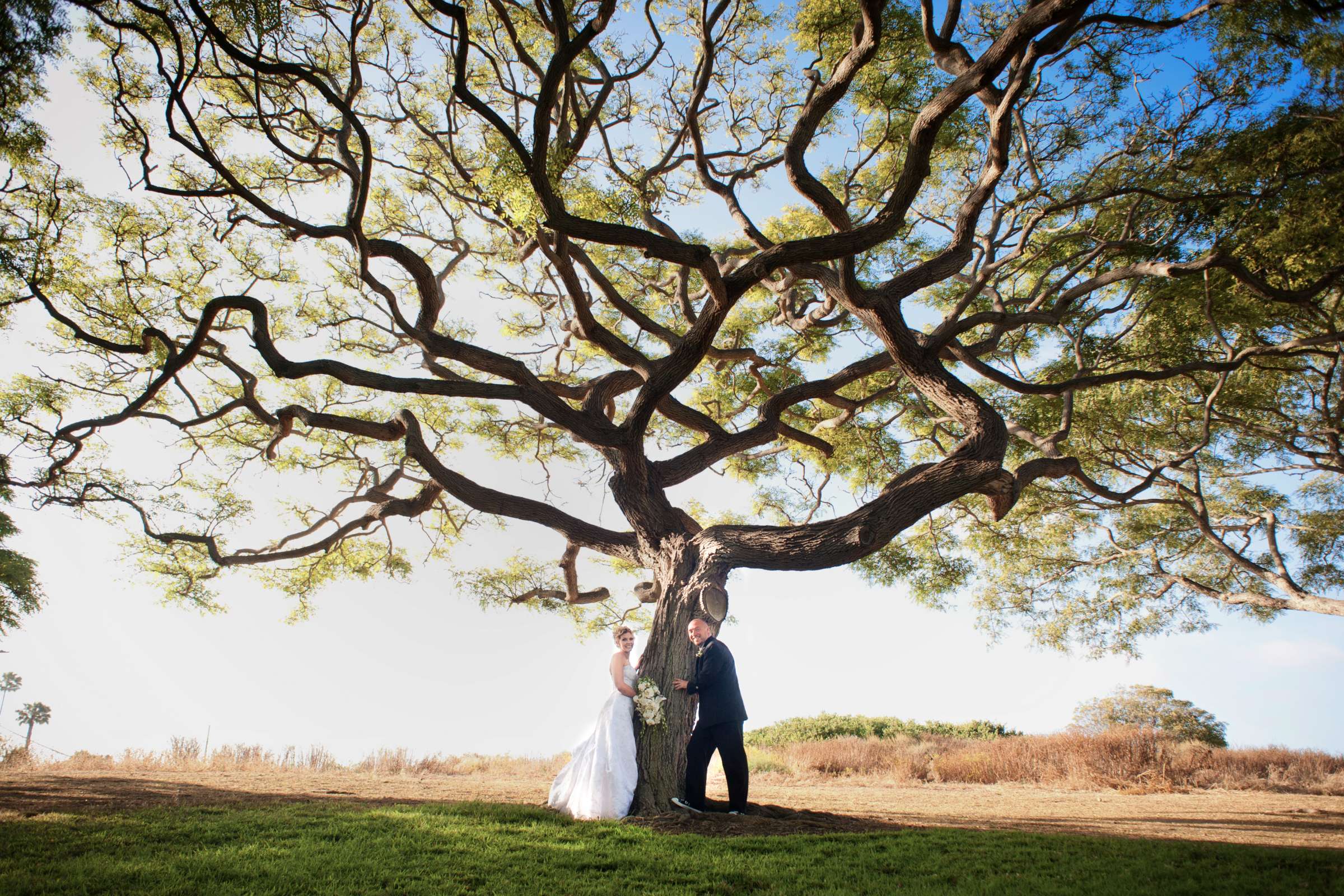 Wedding, Highlights 1 Wedding Photo #27 by True Photography