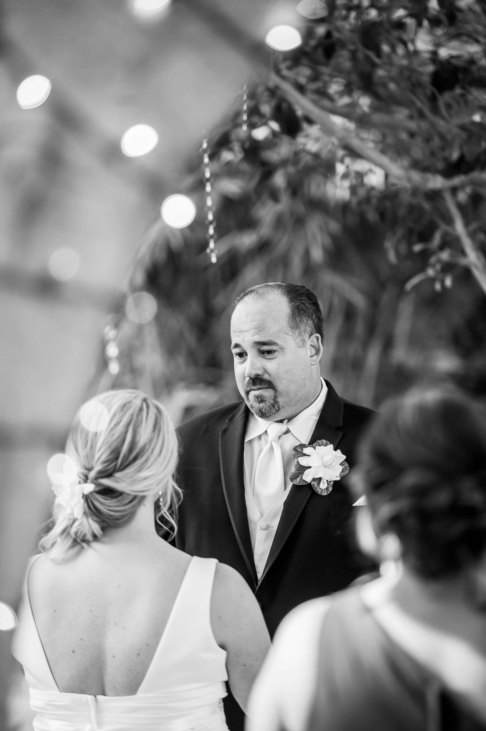 Botanica the Venue Wedding, Jennifer and Barry Wedding Photo #66 by True Photography