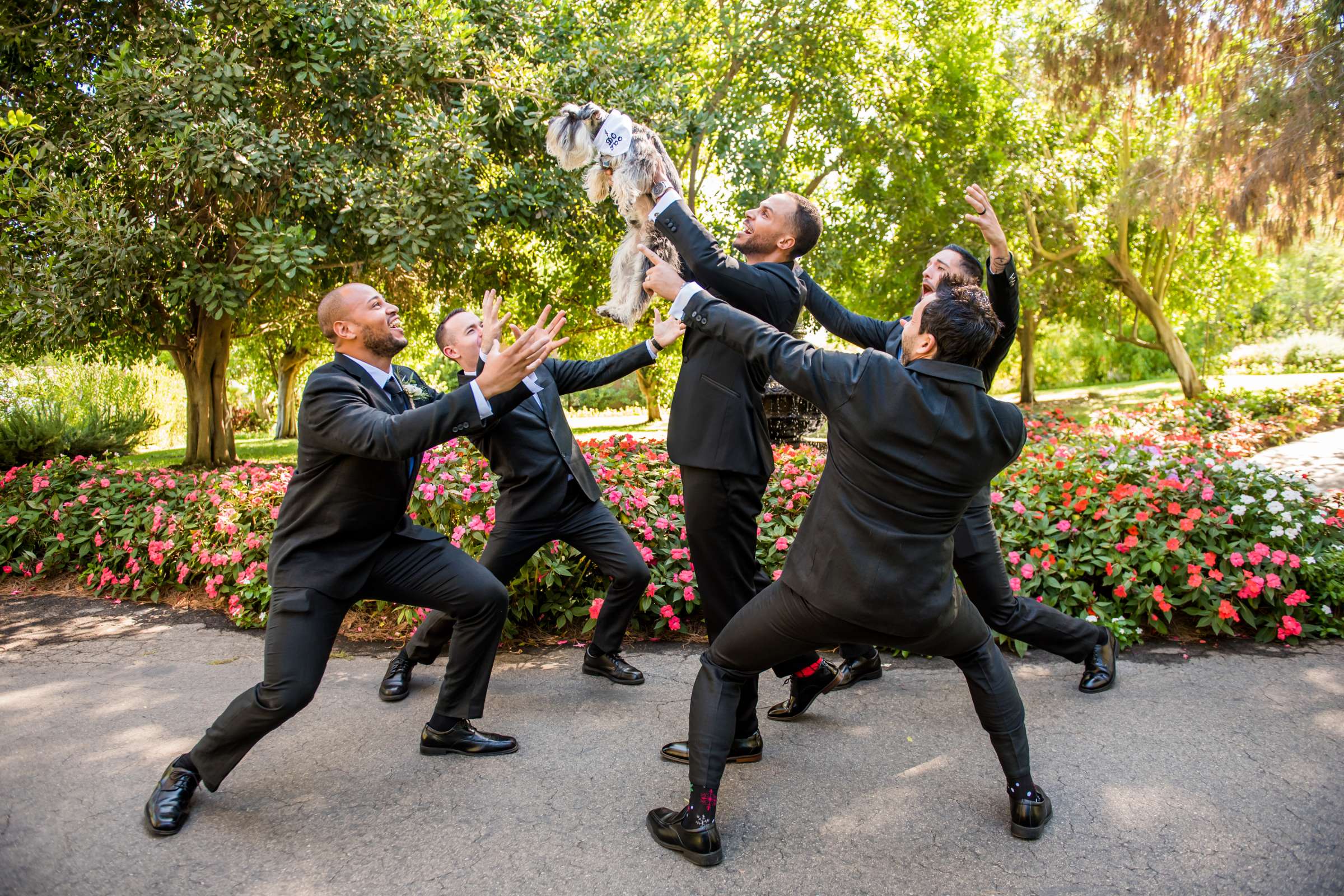 Ethereal Gardens Wedding, Camille and Jose Wedding Photo #582304 by True Photography